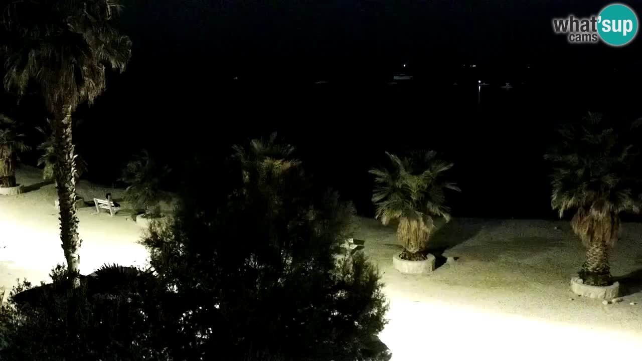 Livecam Vir beach – Dalmatia