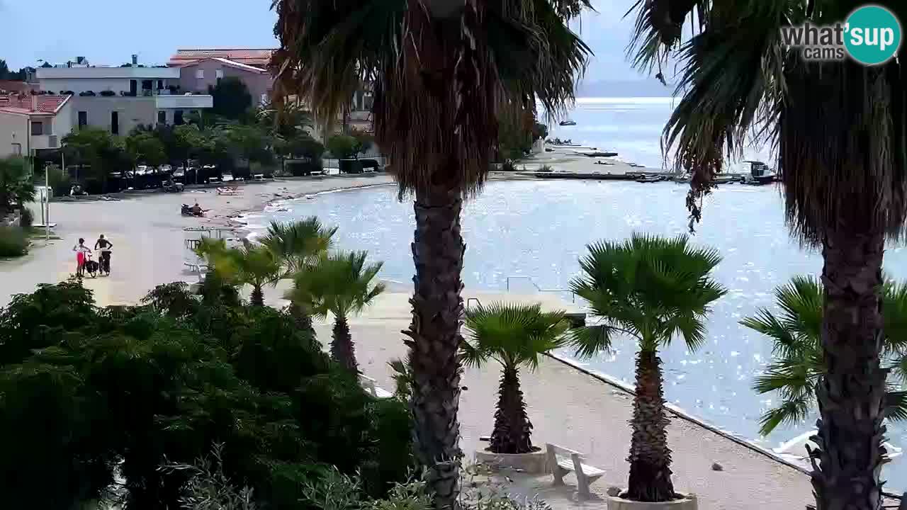 Livecam Vir beach – Dalmatia