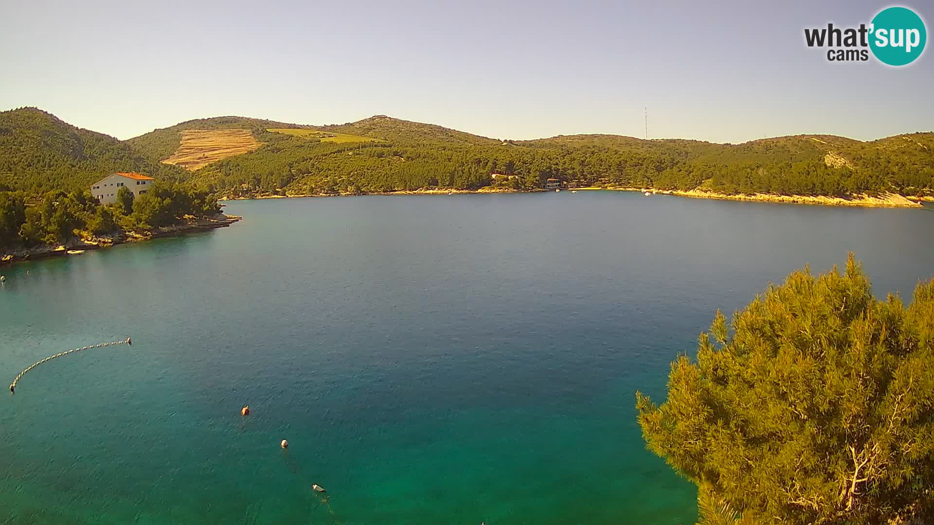 Hvar webcam Vira Strand | Hvar Insel | Dalmatien
