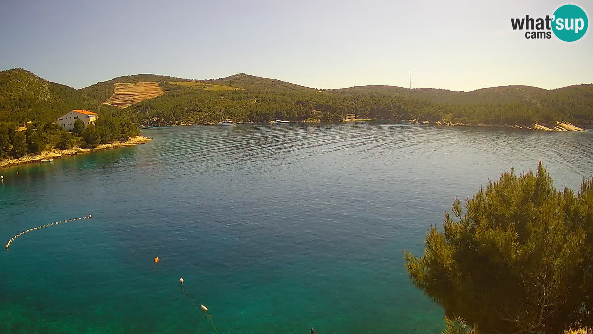 Webcam Hvar Vira beach | Hvar island | Dalmatia