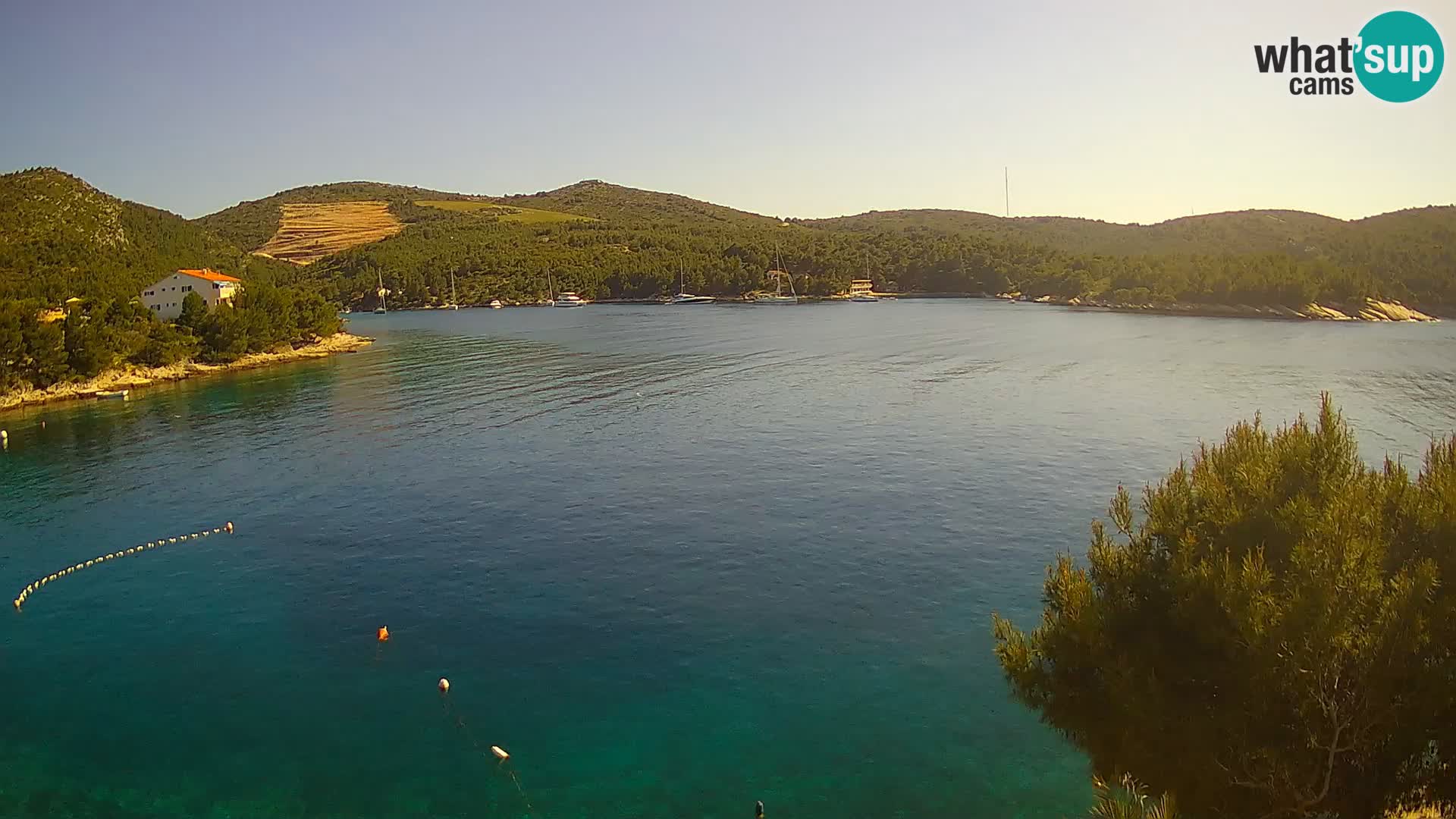 Camera Hvar Vira playa | Isla de Hvar | Dalmacia