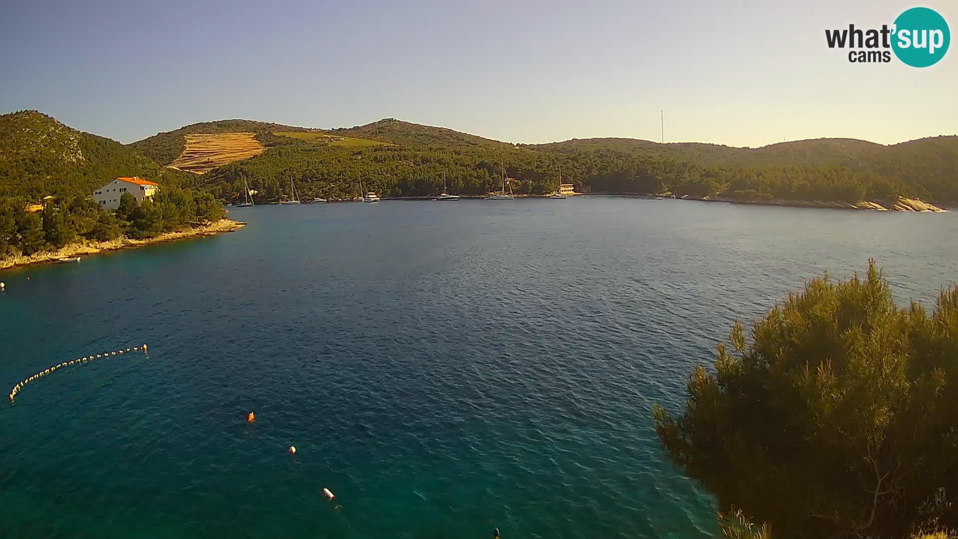Camera Hvar Vira playa | Isla de Hvar | Dalmacia