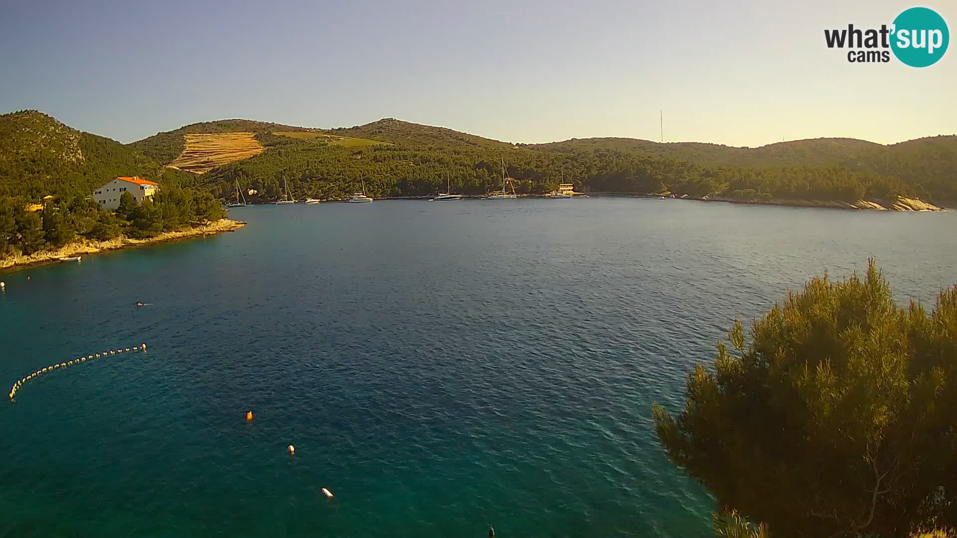 Live cam Hvar Vira plage | Île de Hvar | Dalmatie