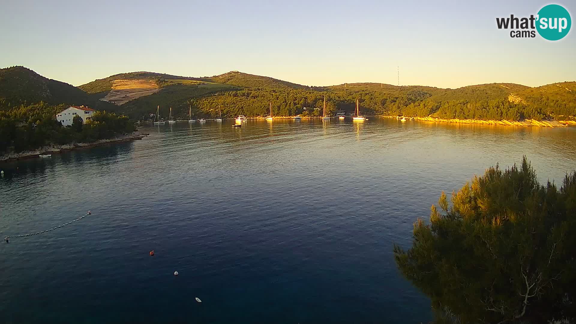 Live cam Hvar Vira plage | Île de Hvar | Dalmatie