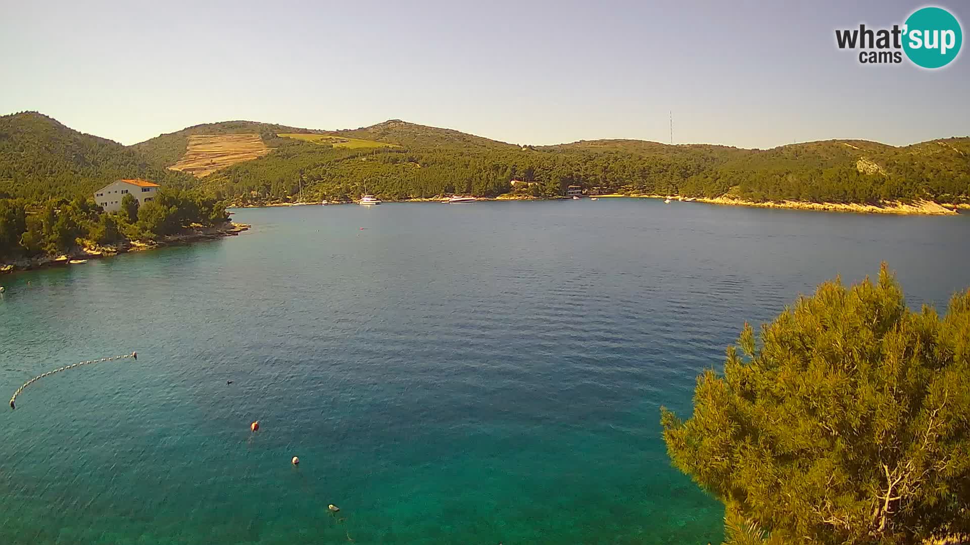 Camera Hvar Vira playa | Isla de Hvar | Dalmacia
