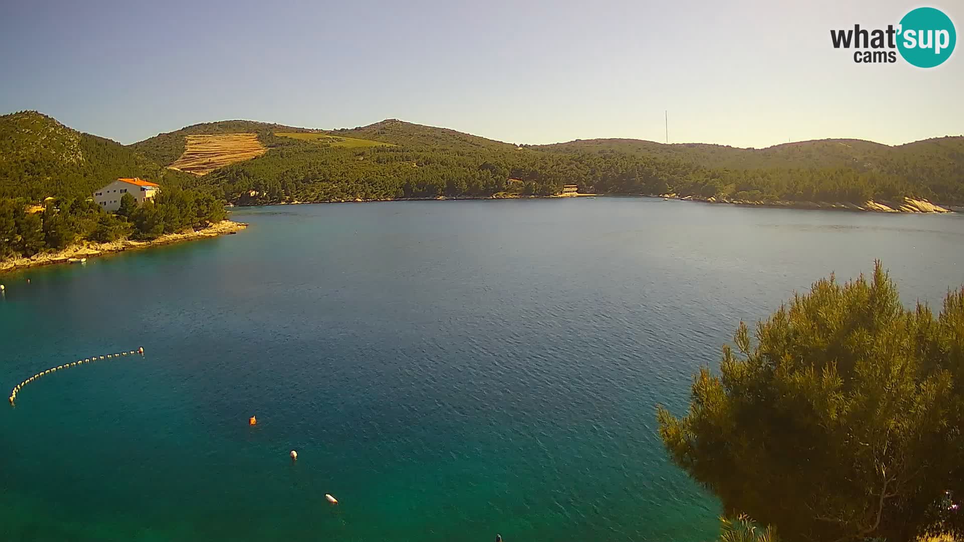 Camera Hvar Vira playa | Isla de Hvar | Dalmacia