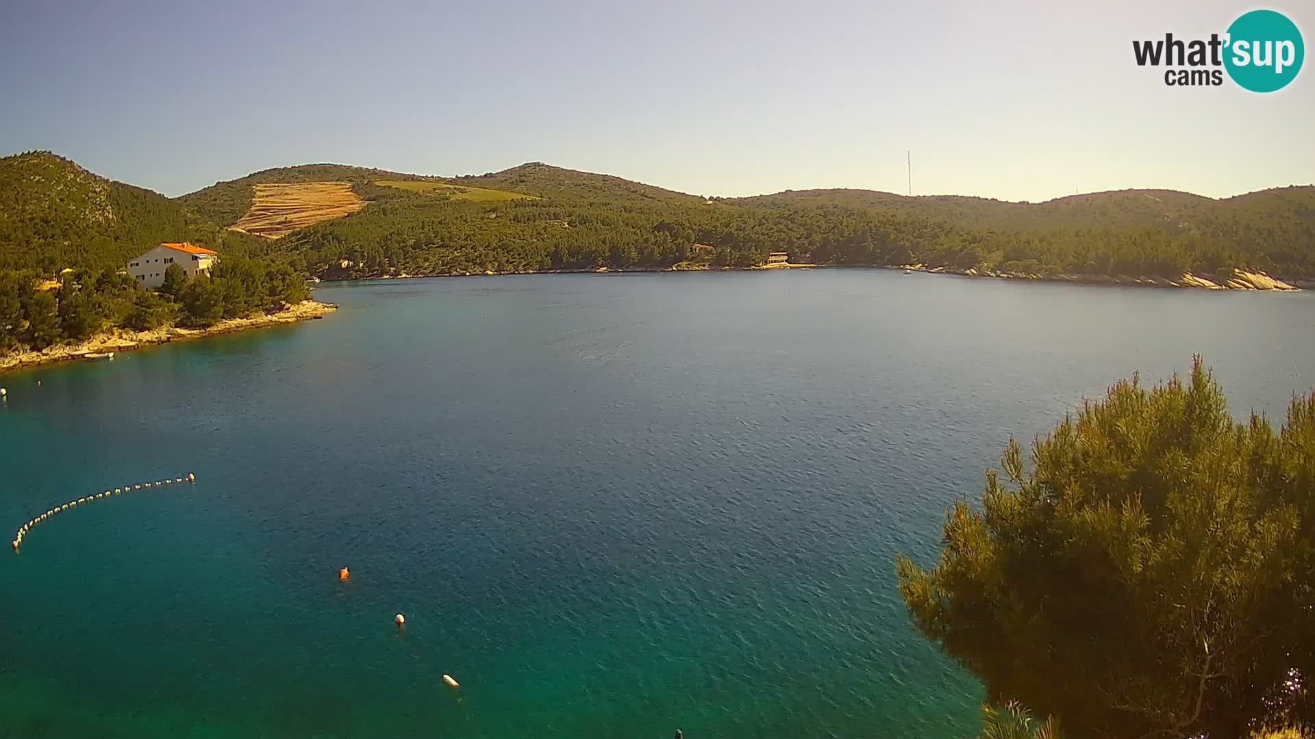 Camera Hvar Vira playa | Isla de Hvar | Dalmacia