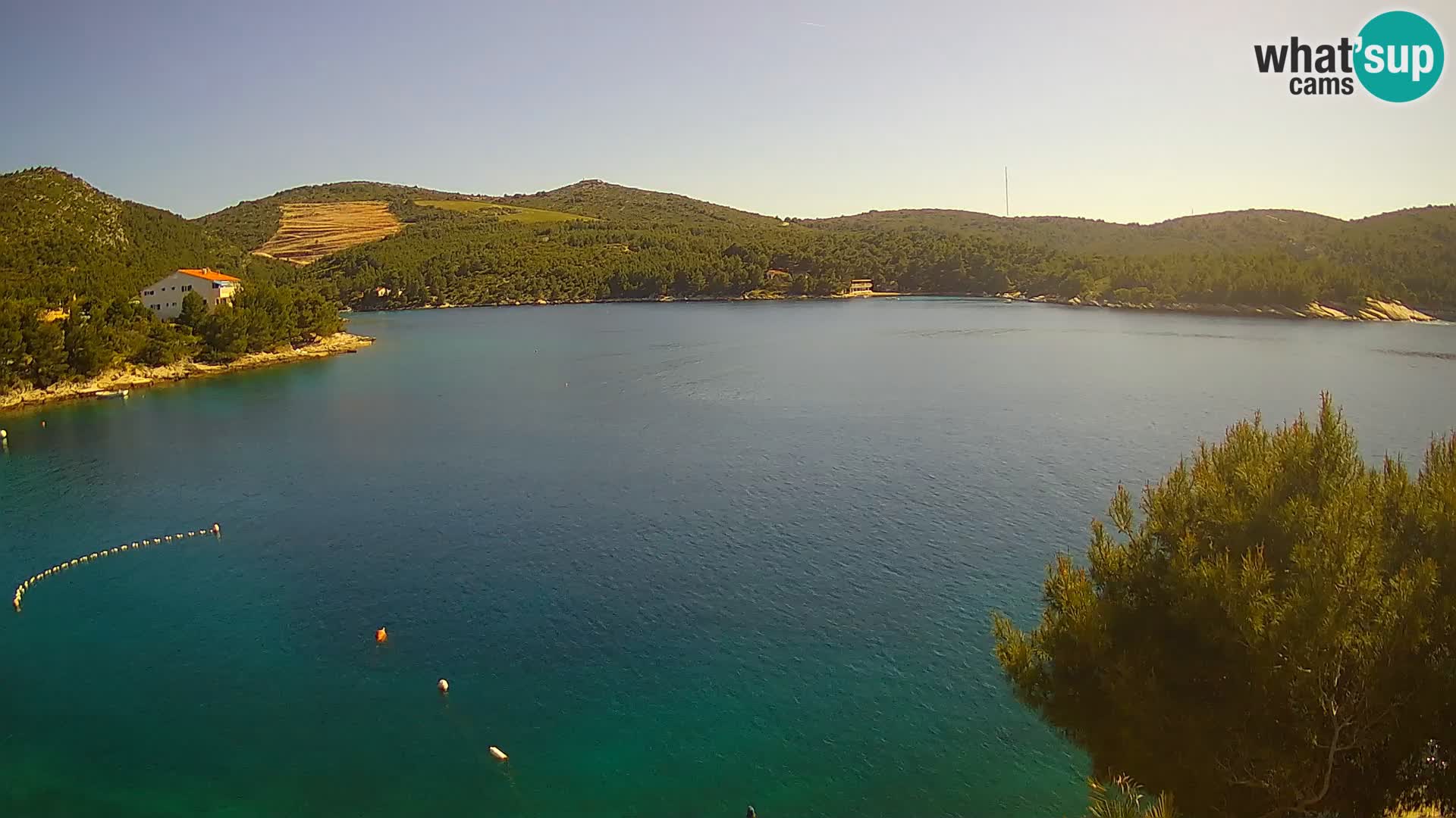 Camera Hvar Vira playa | Isla de Hvar | Dalmacia