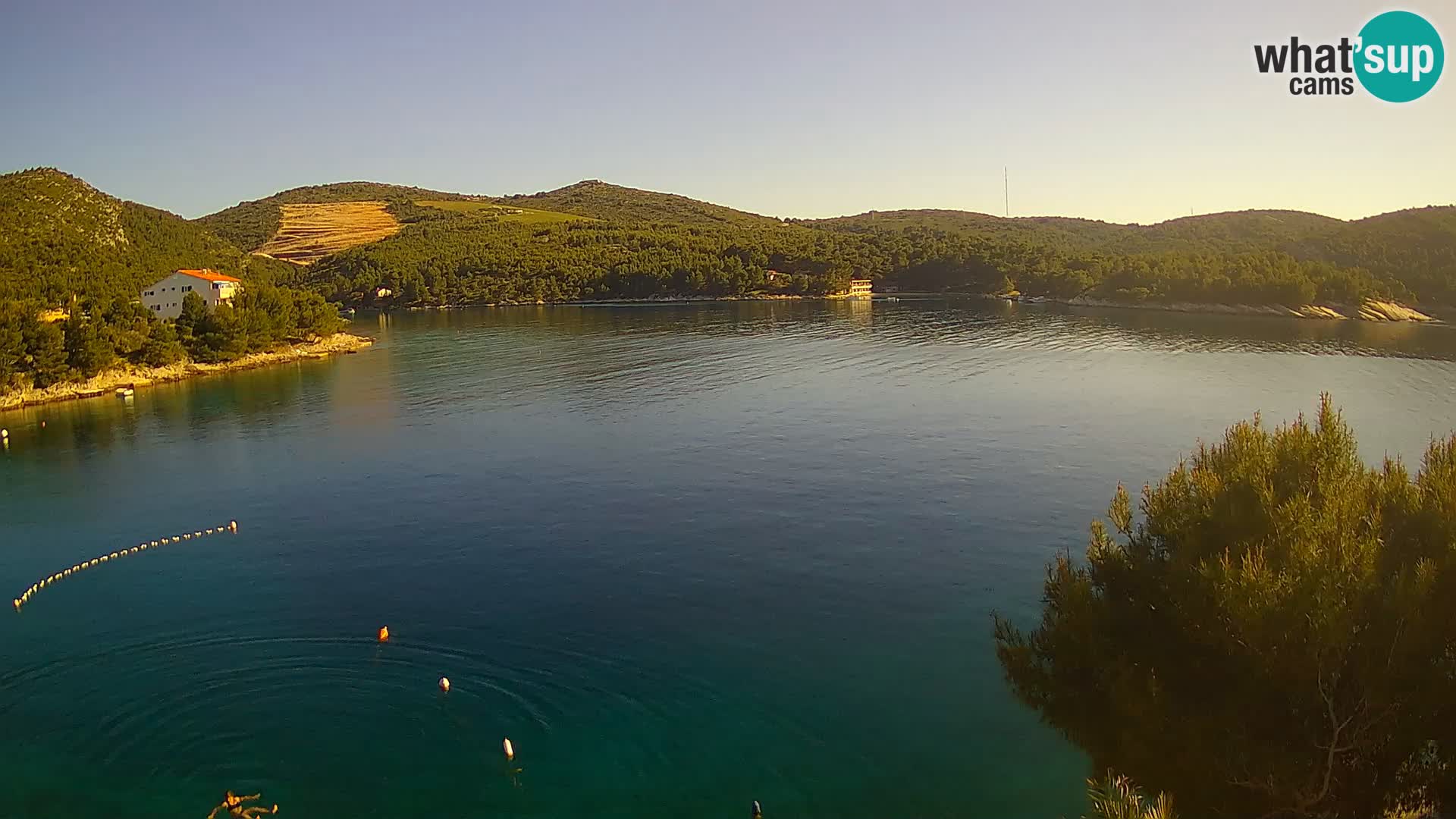 Hvar webcam Vira Strand | Hvar Insel | Dalmatien