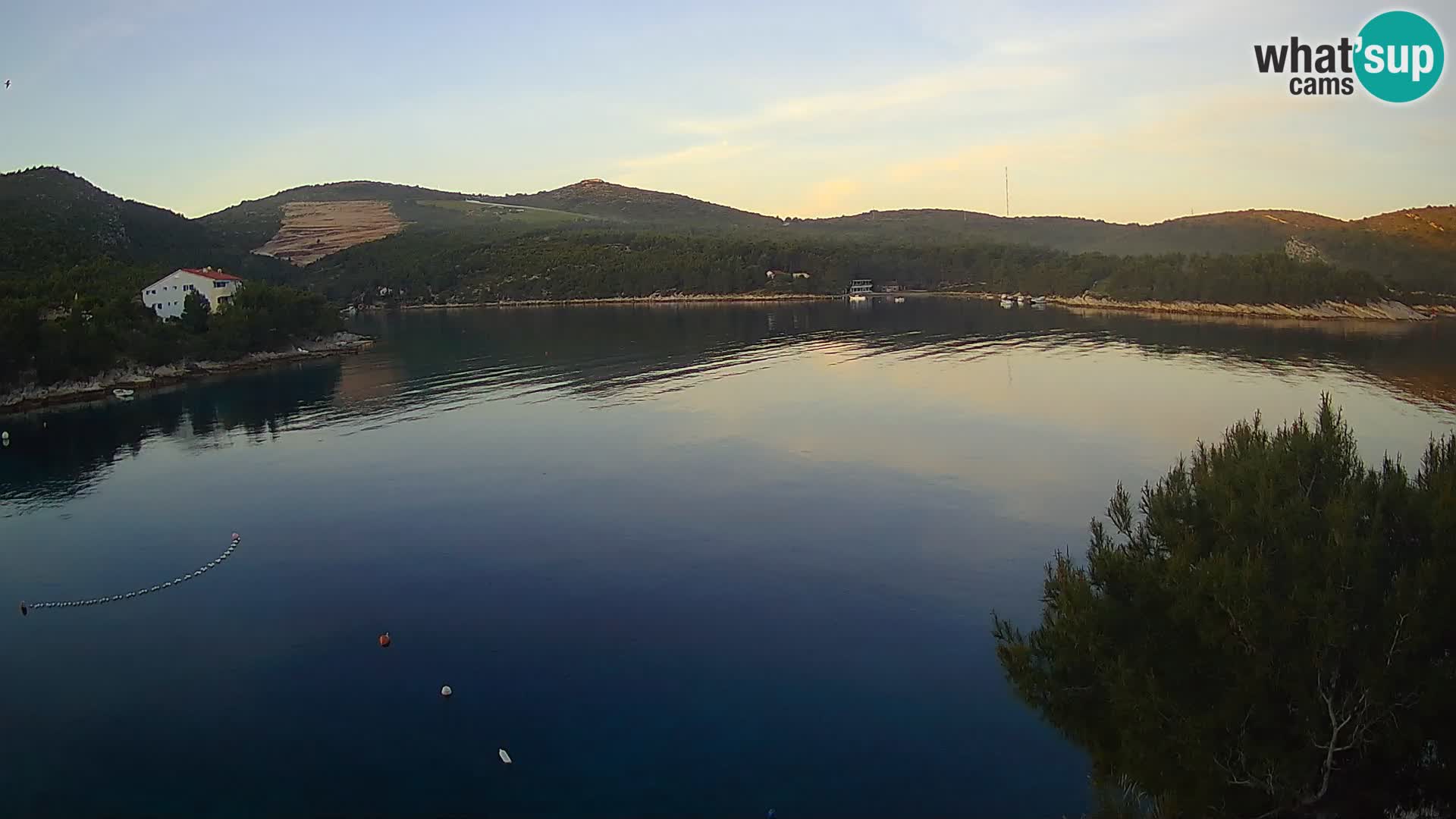 Camera Hvar Vira playa | Isla de Hvar | Dalmacia