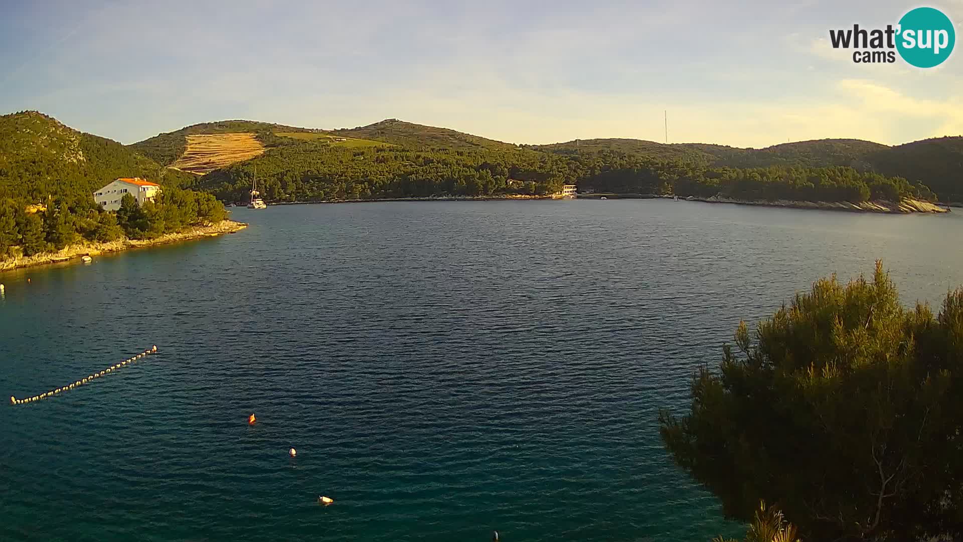 Hvar webcam Vira Strand | Hvar Insel | Dalmatien
