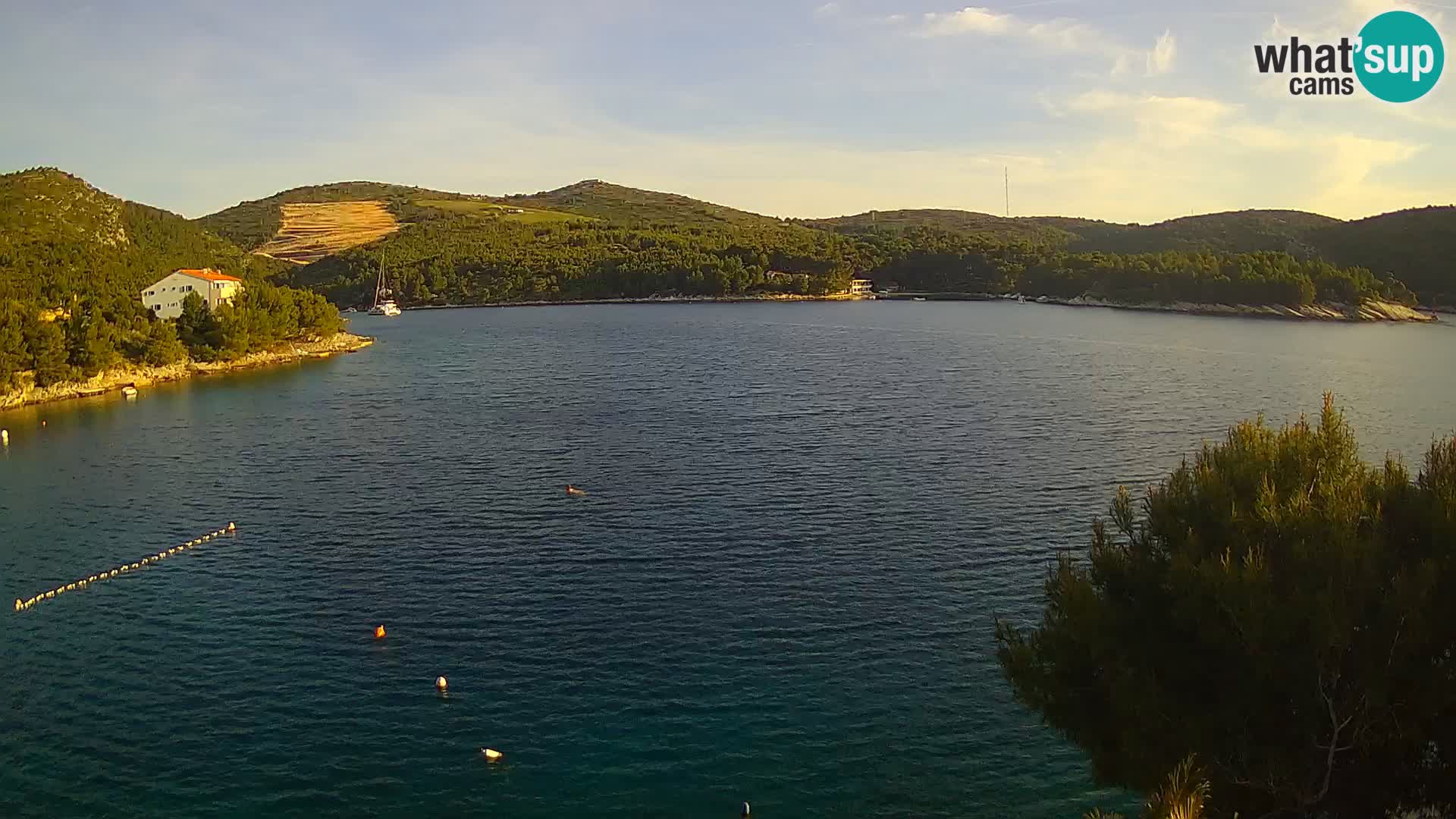 Camera Hvar Vira playa | Isla de Hvar | Dalmacia