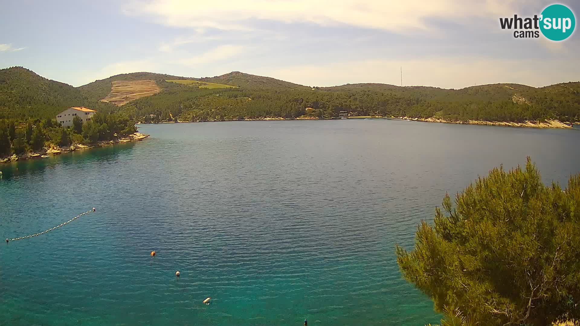 Camera Hvar Vira playa | Isla de Hvar | Dalmacia