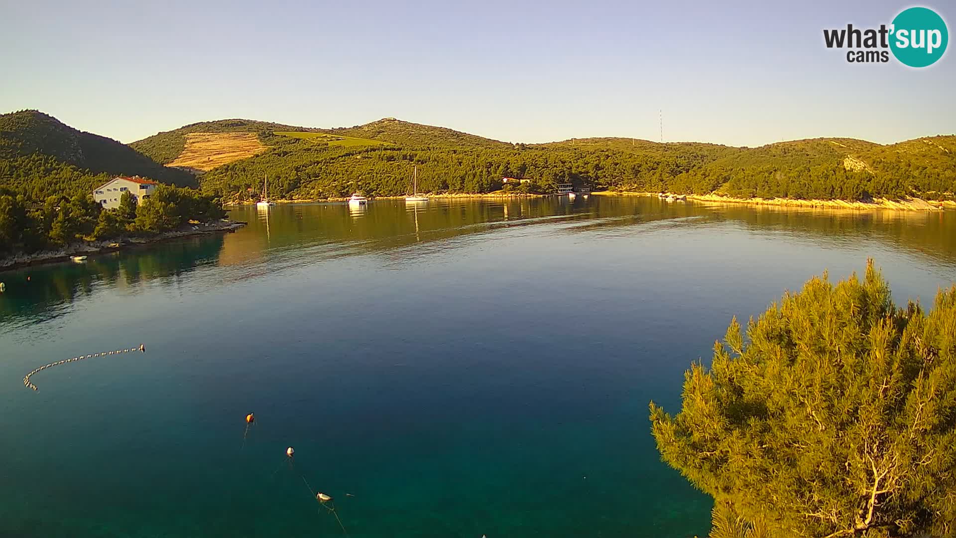 Camera Hvar Vira playa | Isla de Hvar | Dalmacia