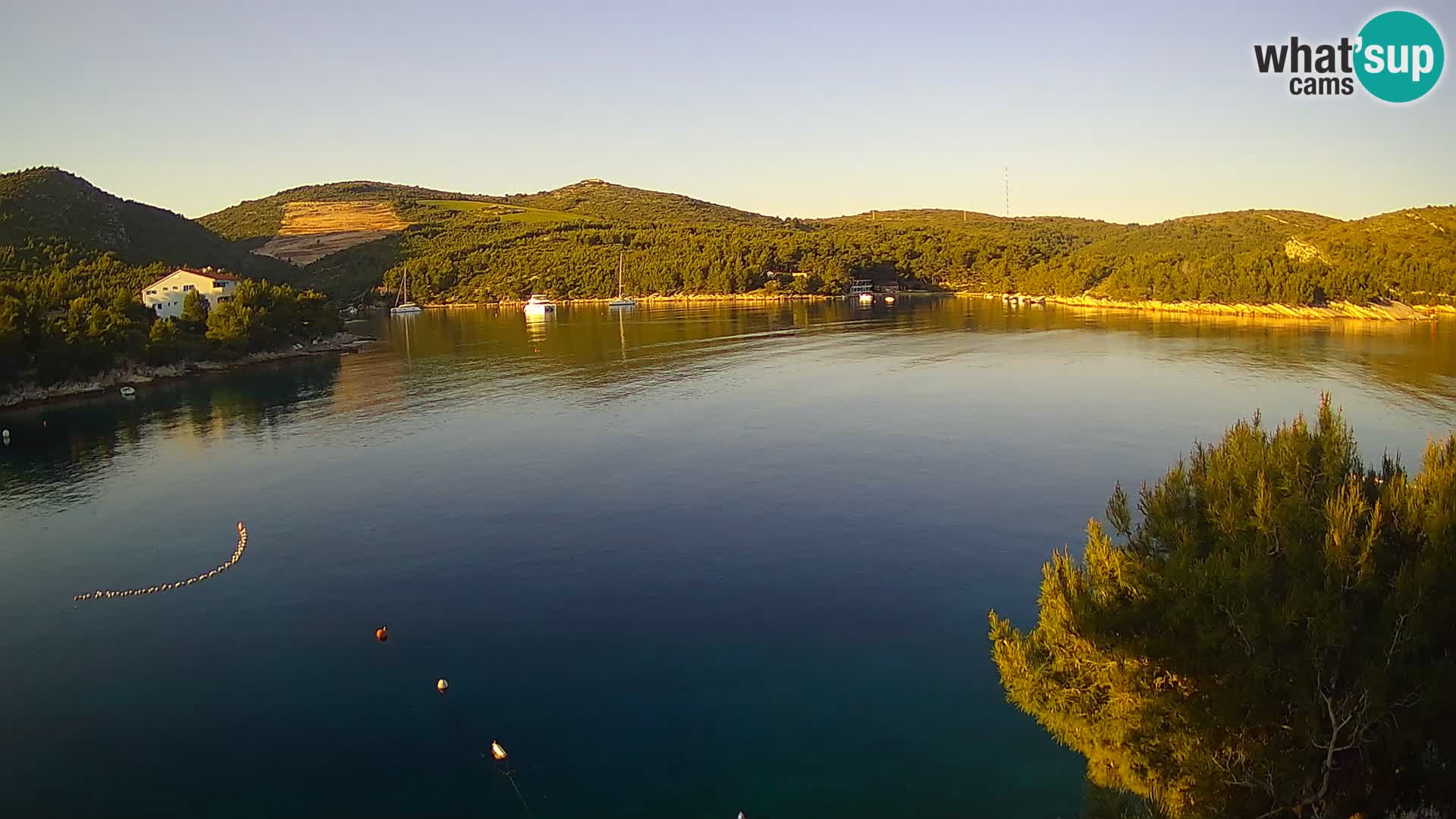Camera Hvar Vira playa | Isla de Hvar | Dalmacia
