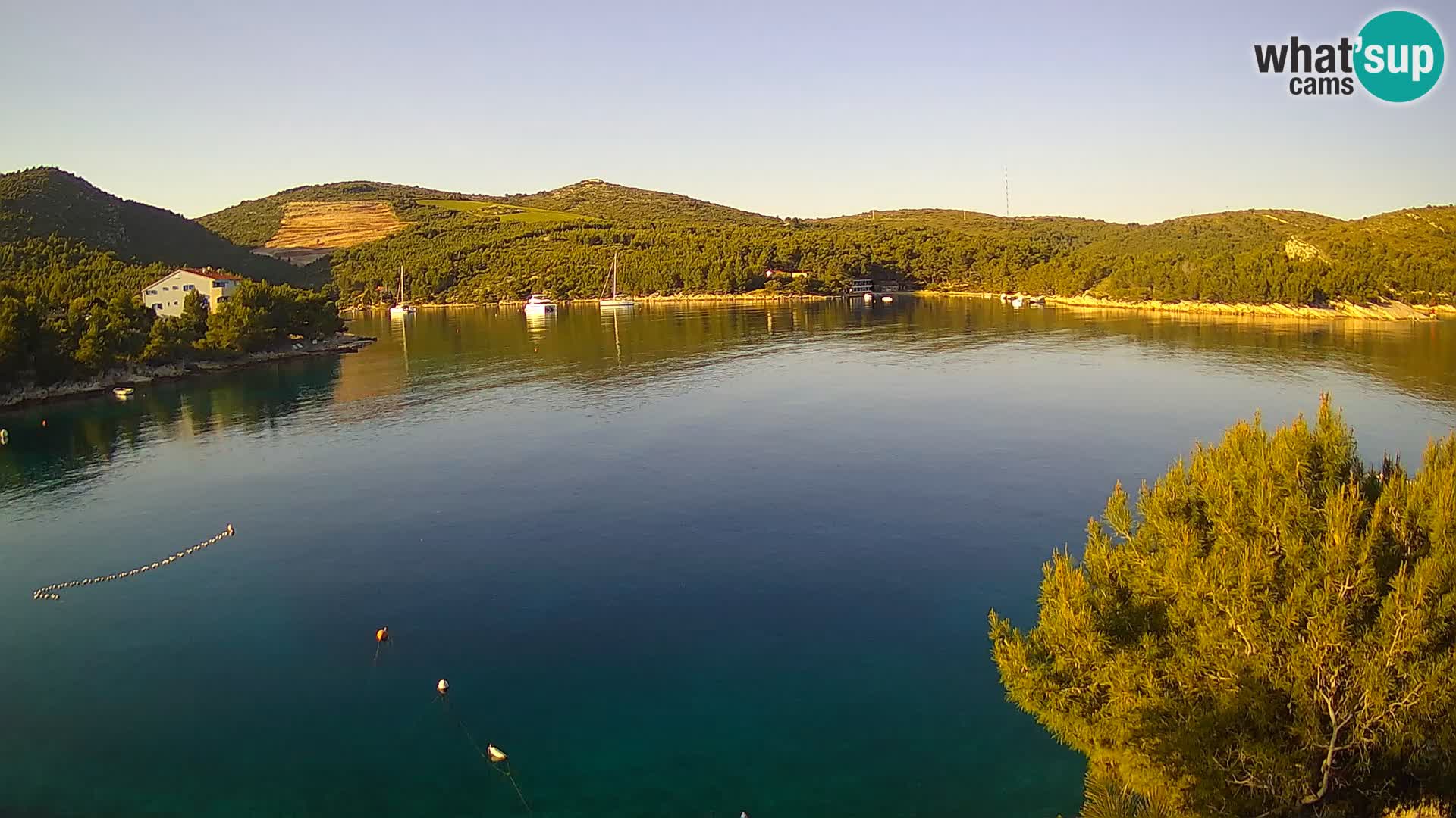 Hvar webcam Vira Strand | Hvar Insel | Dalmatien