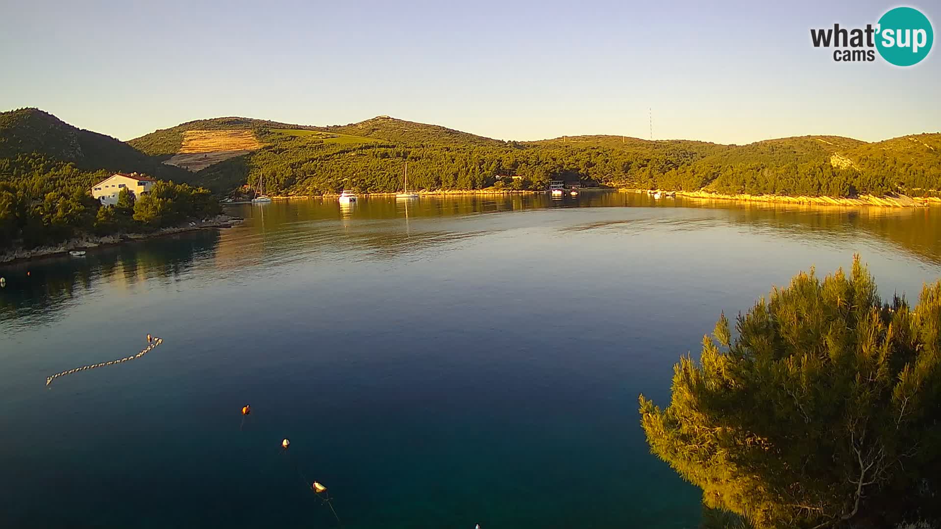 Live cam Hvar Vira plage | Île de Hvar | Dalmatie