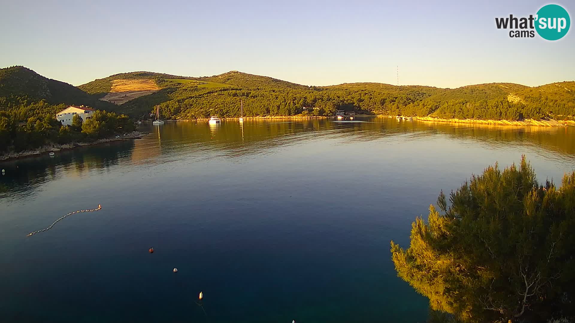 Camera Hvar Vira playa | Isla de Hvar | Dalmacia