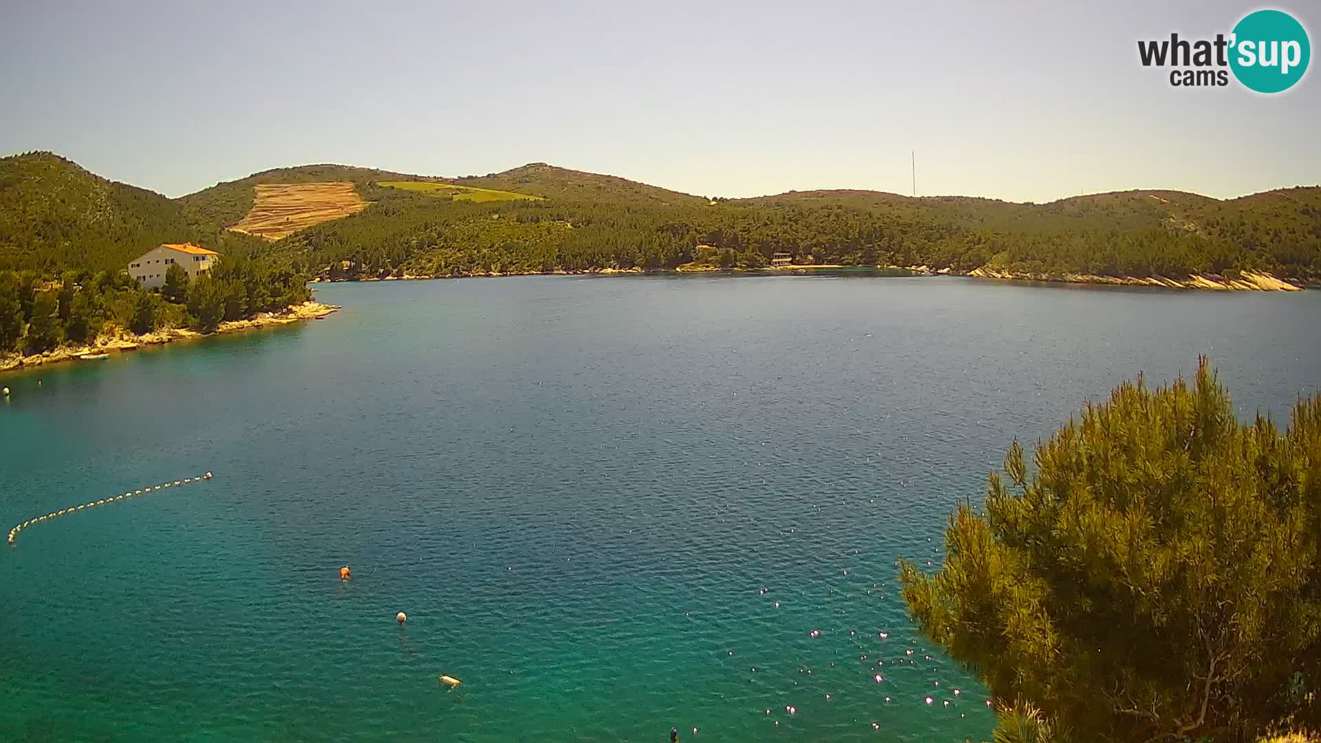 Hvar webcam Vira Strand | Hvar Insel | Dalmatien