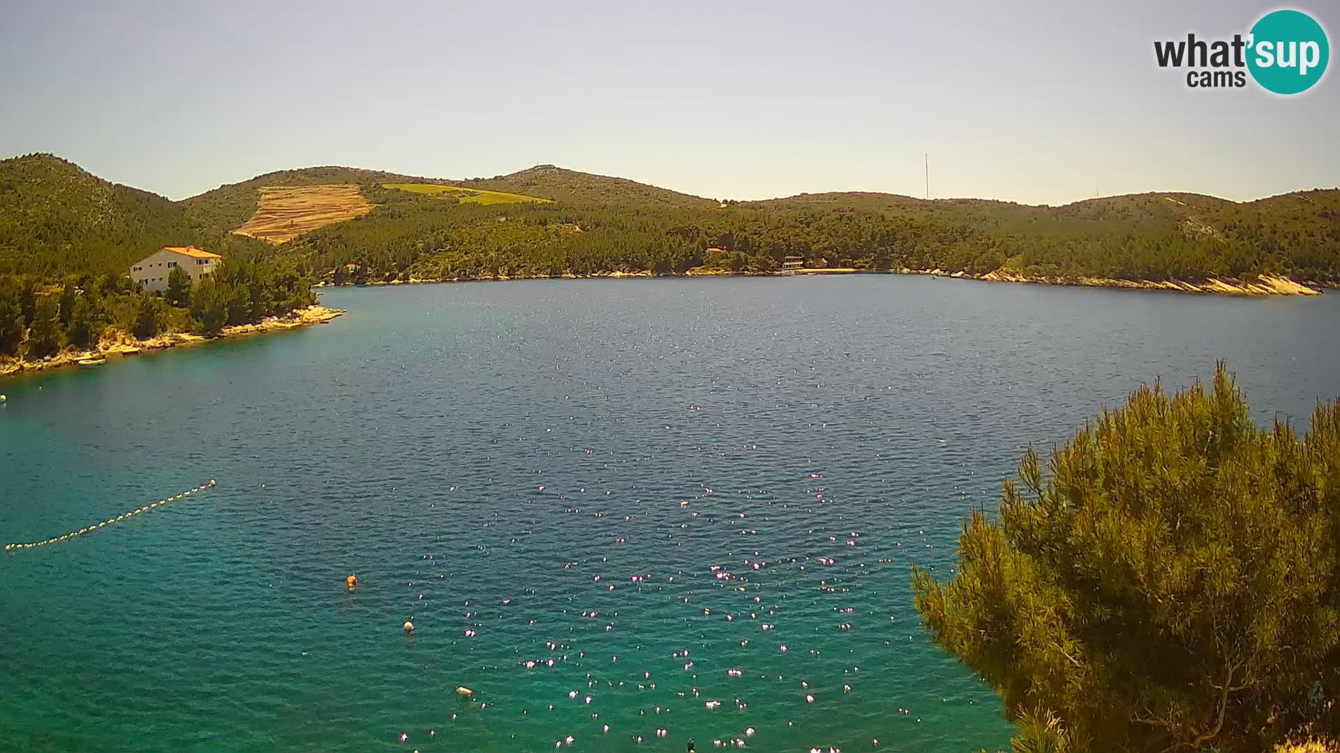 Camera Hvar Vira playa | Isla de Hvar | Dalmacia