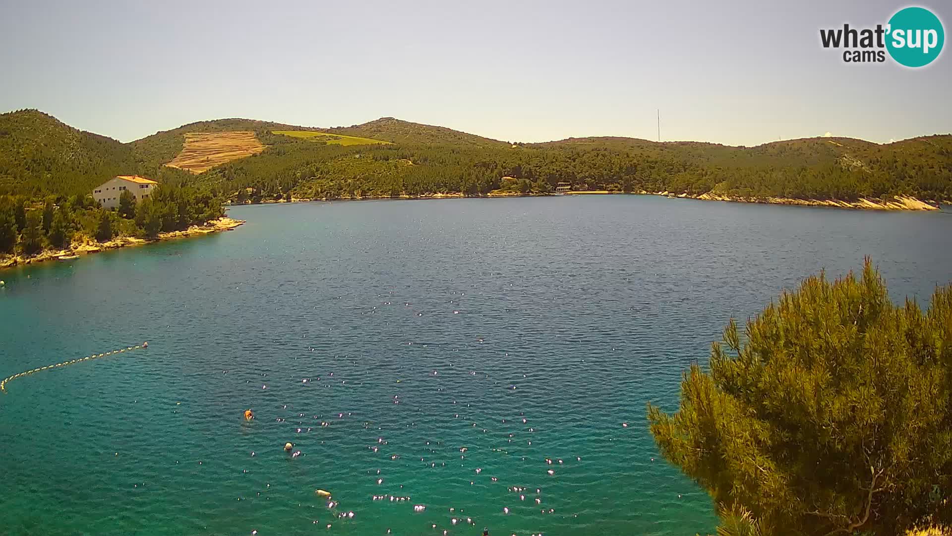 Webcam Hvar Vira beach | Hvar island | Dalmatia