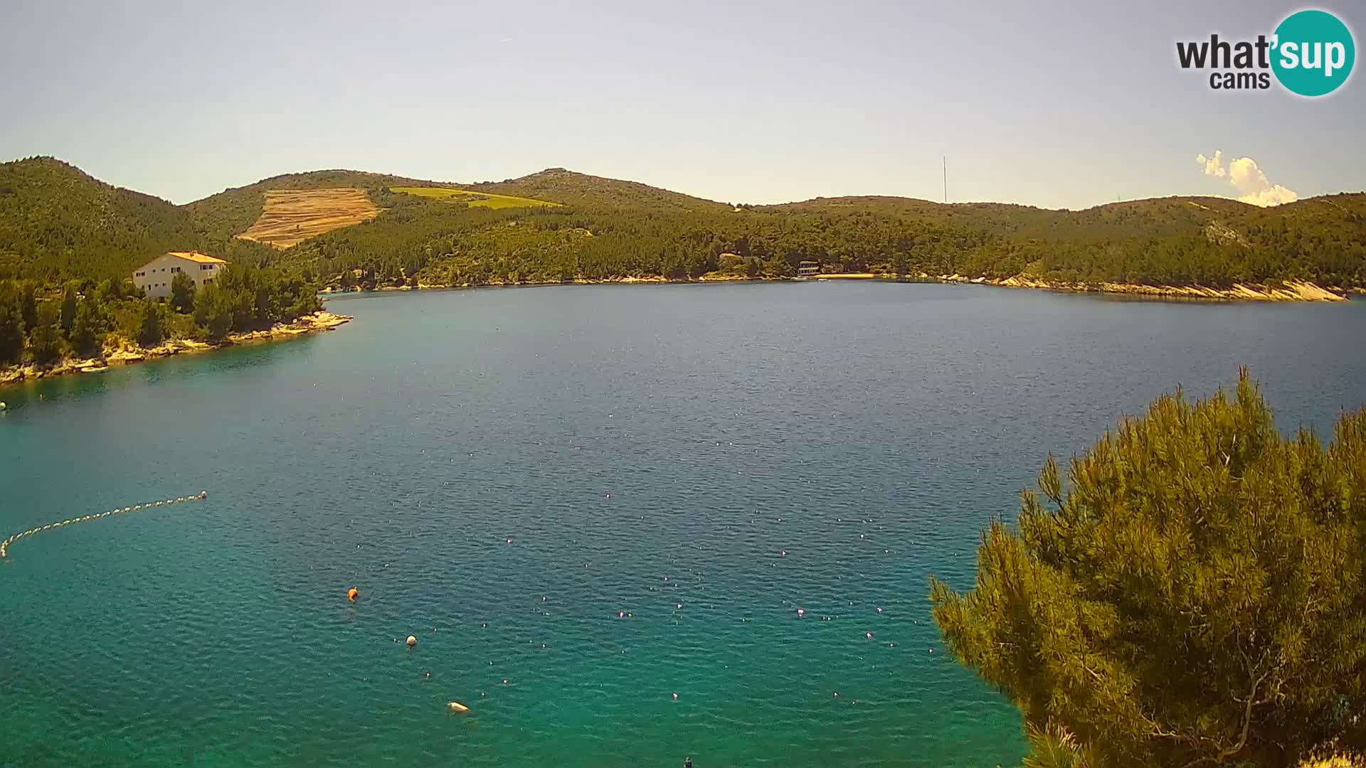 Camera Hvar Vira playa | Isla de Hvar | Dalmacia