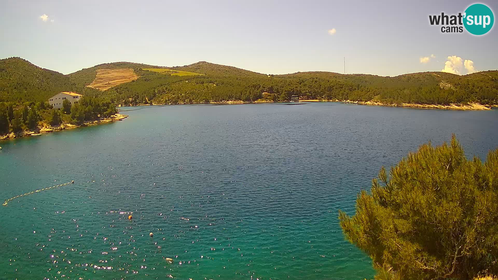 Hvar webcam Vira Strand | Hvar Insel | Dalmatien