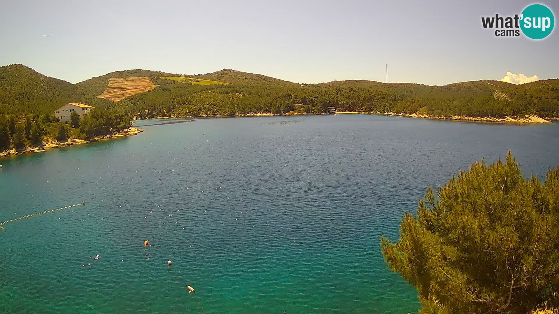 Live cam Hvar Vira plage | Île de Hvar | Dalmatie