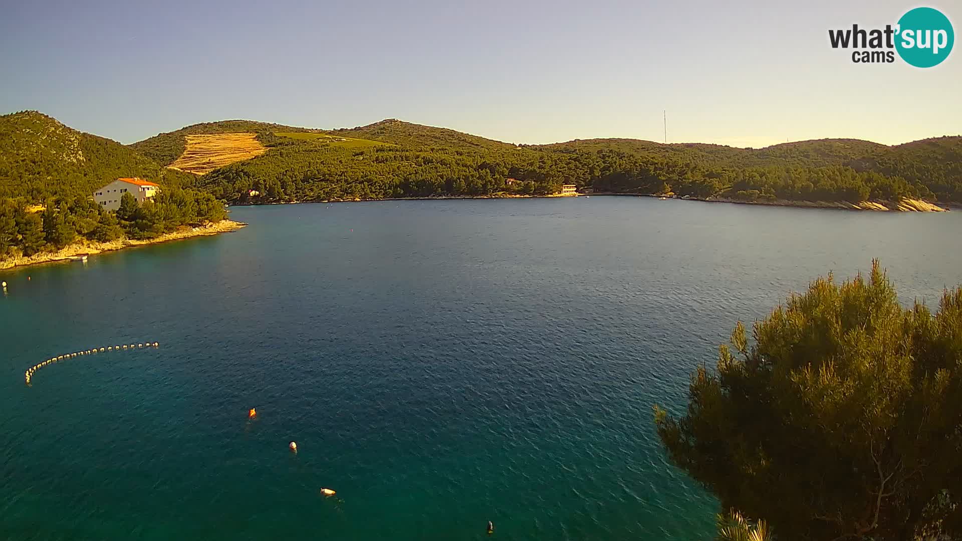 Hvar webcam Vira Strand | Hvar Insel | Dalmatien