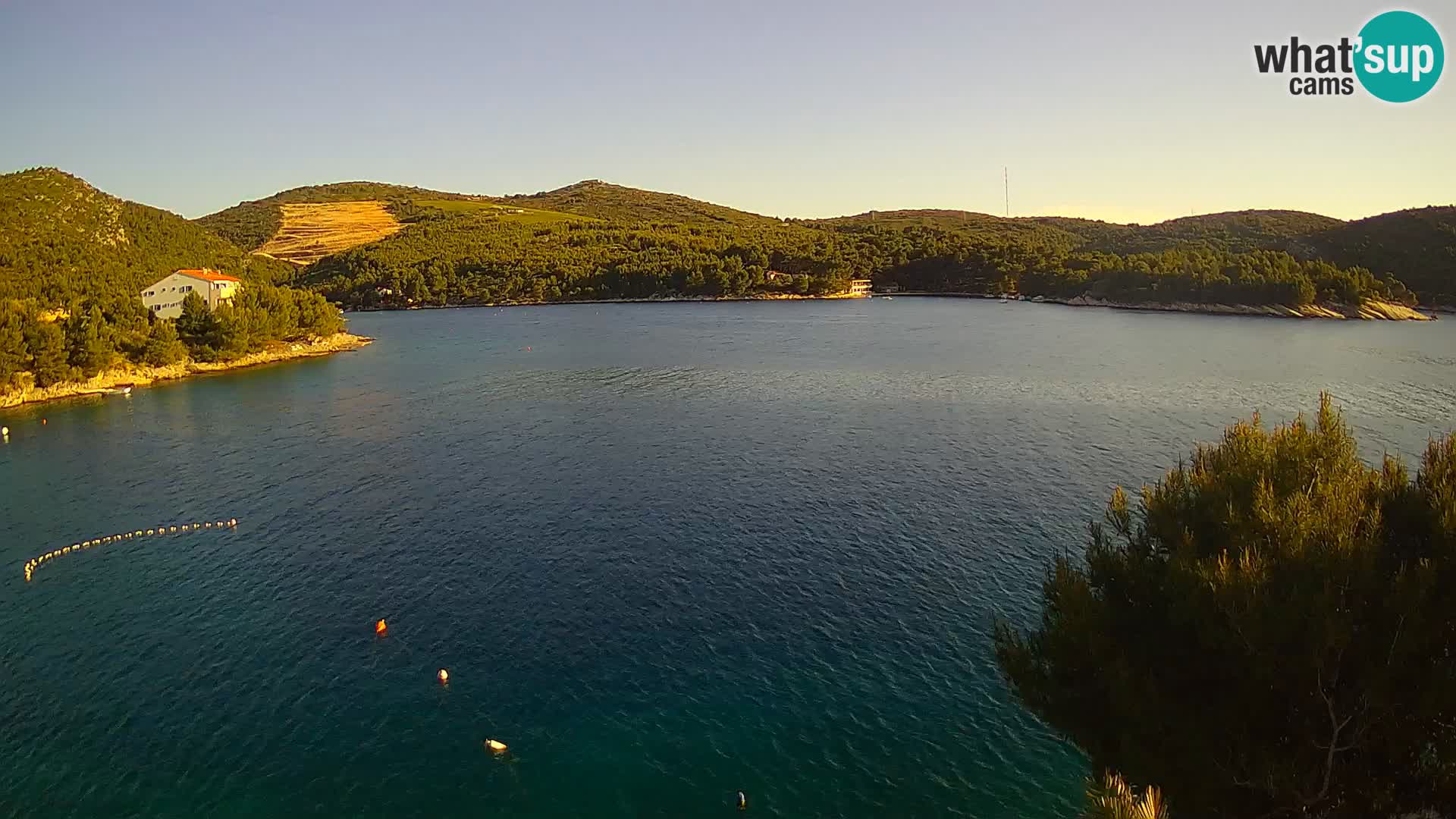 Camera Hvar Vira playa | Isla de Hvar | Dalmacia