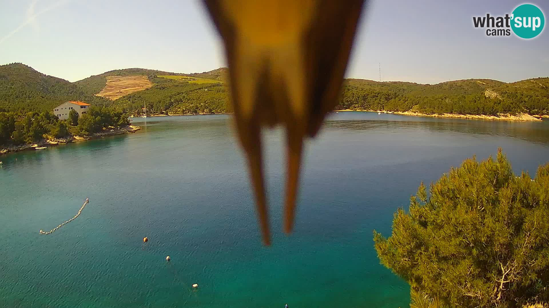 Kamera Hvar Vira plaža | Otok Hvar | Dalmacija