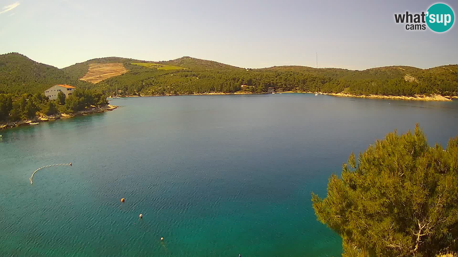 Camera Hvar Vira playa | Isla de Hvar | Dalmacia