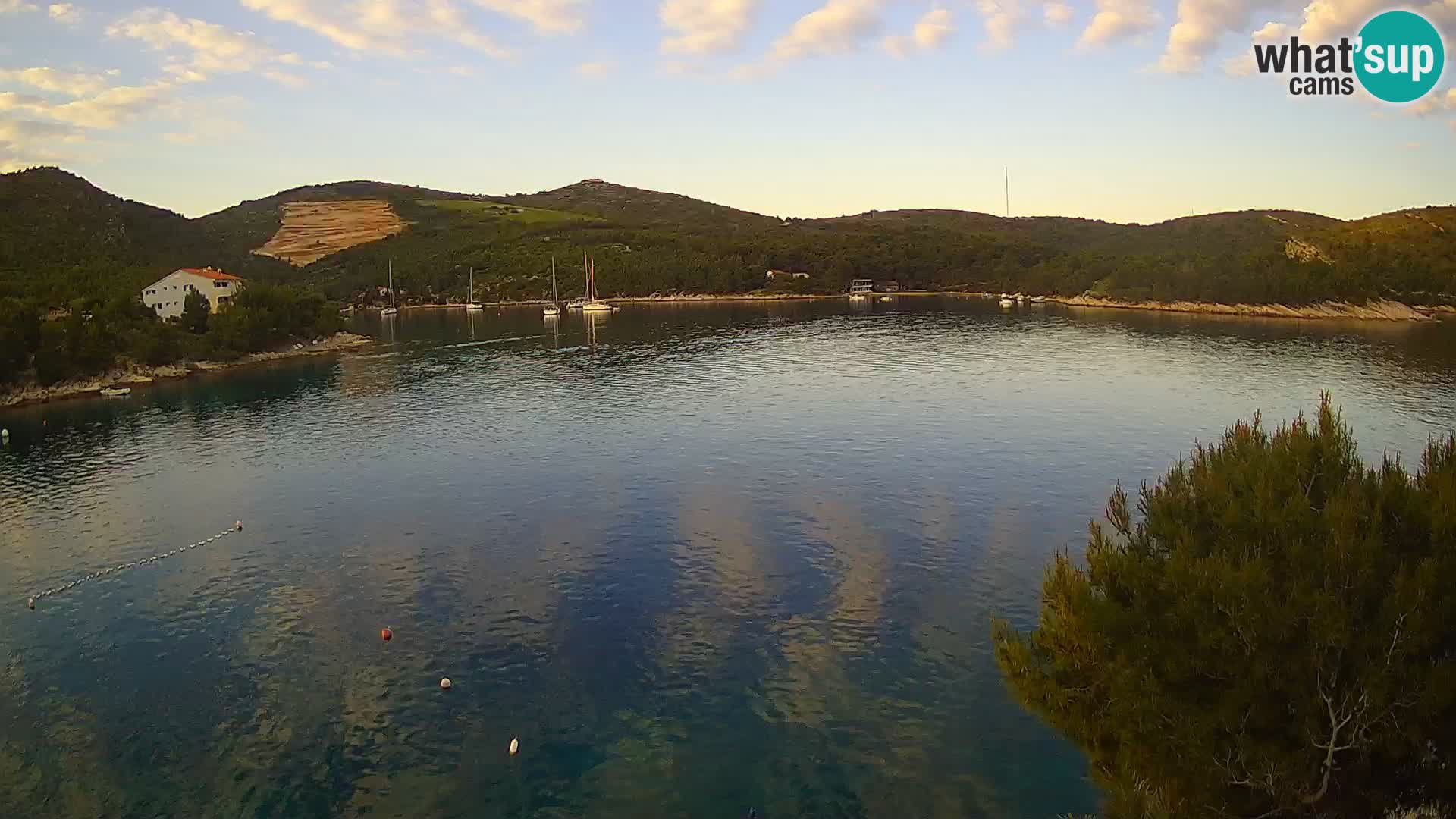 Hvar webcam Vira Strand | Hvar Insel | Dalmatien