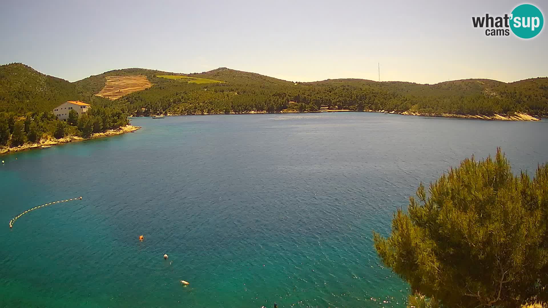 Camera Hvar Vira playa | Isla de Hvar | Dalmacia