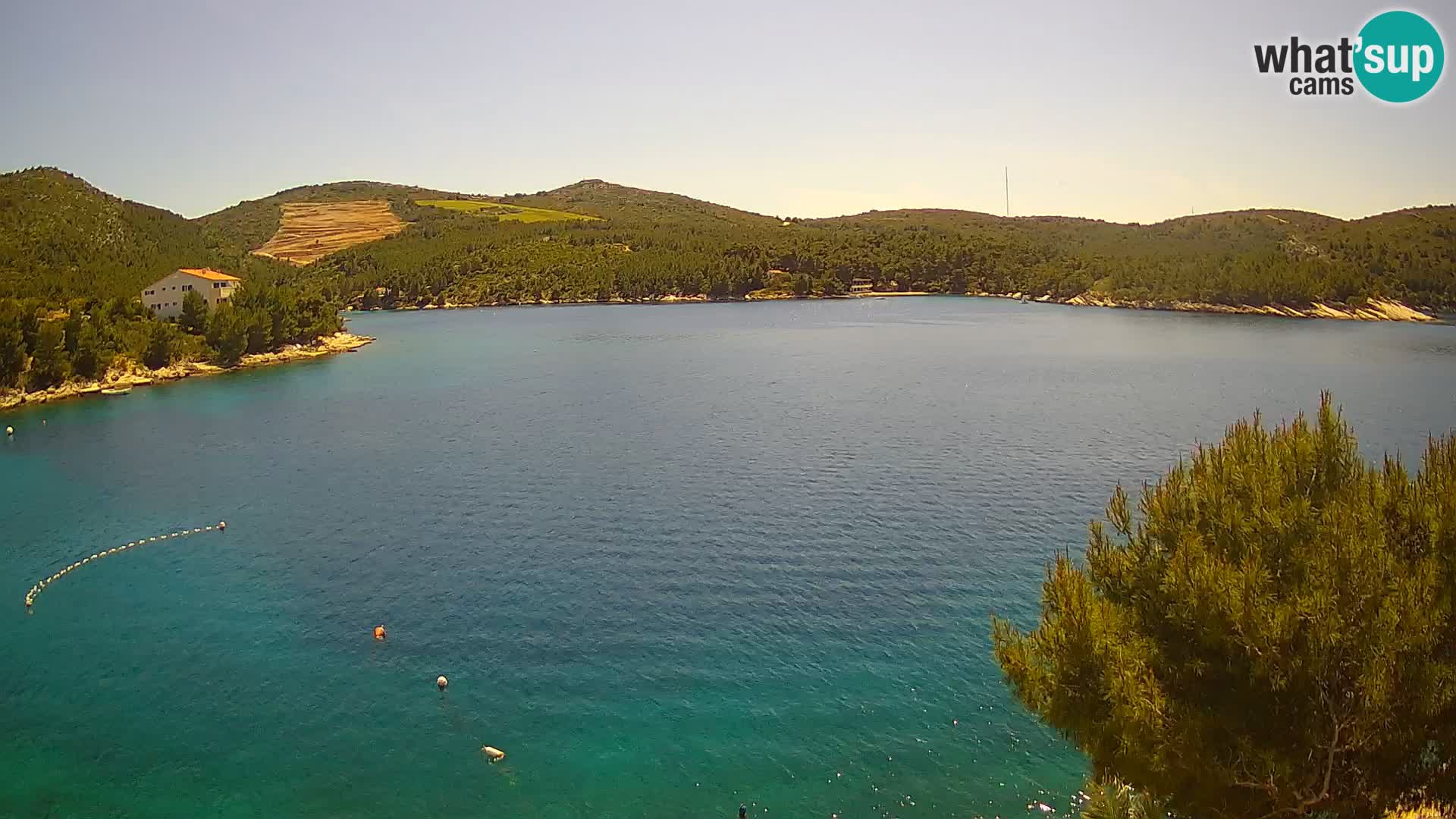 Camera Hvar Vira playa | Isla de Hvar | Dalmacia