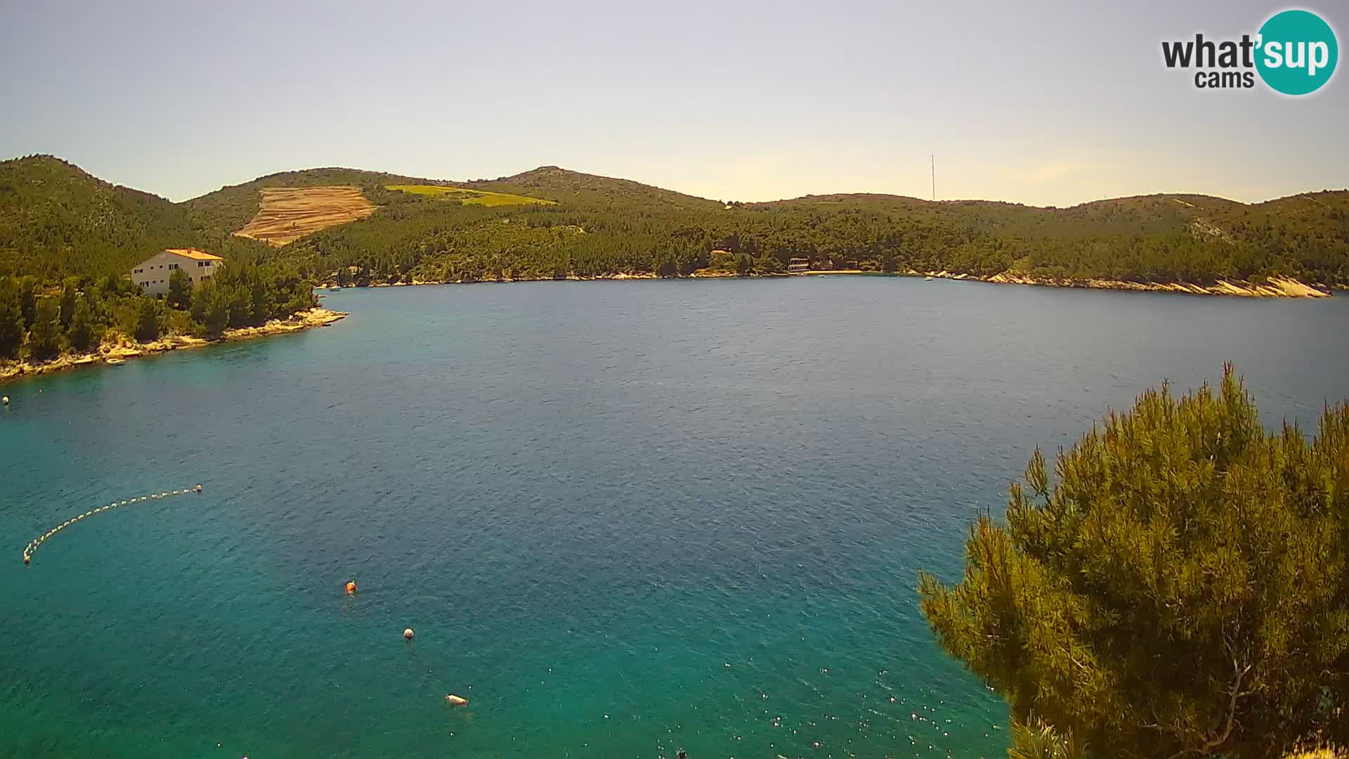 Hvar webcam Vira Strand | Hvar Insel | Dalmatien