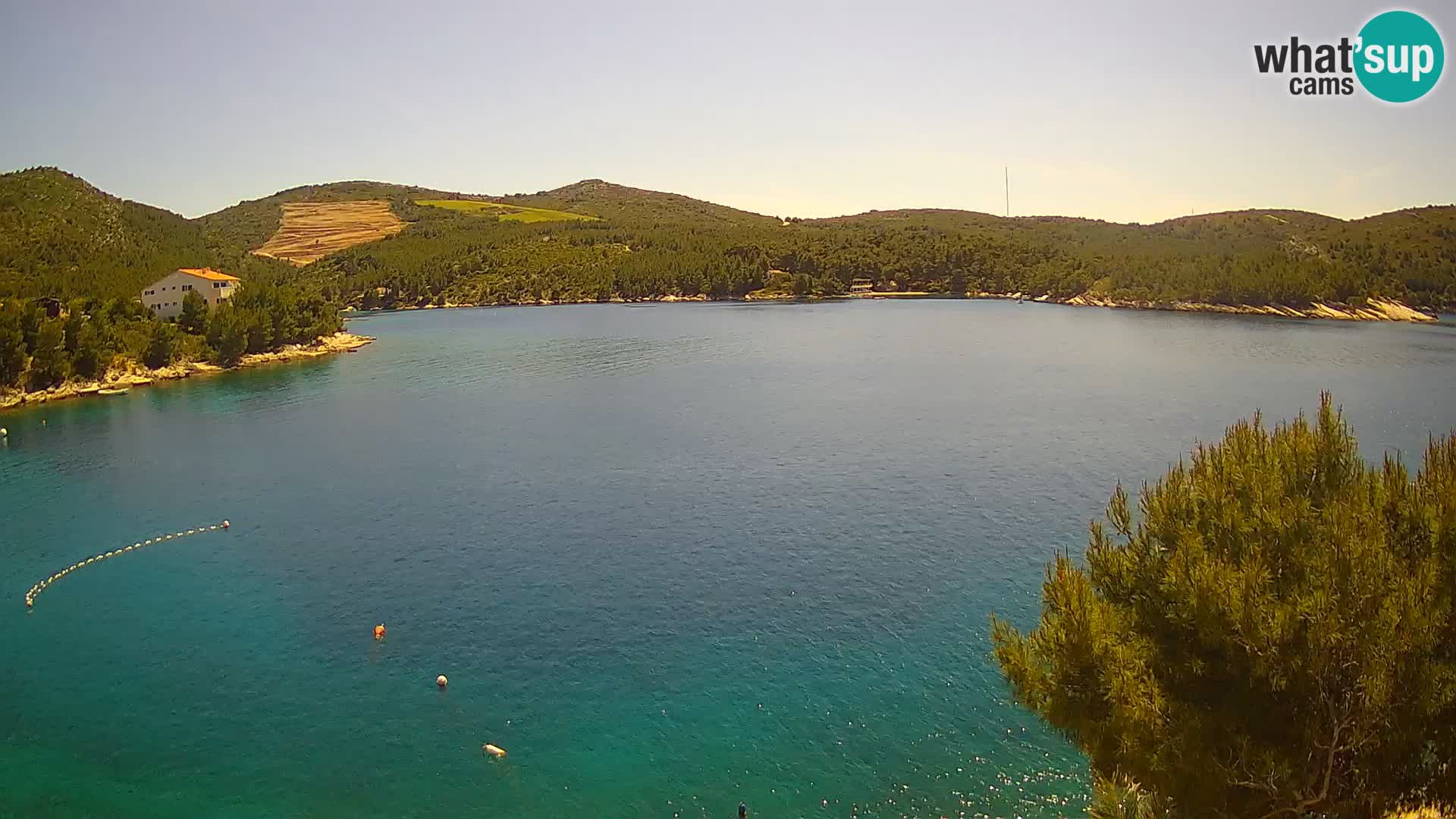 Live cam Hvar Vira plage | Île de Hvar | Dalmatie