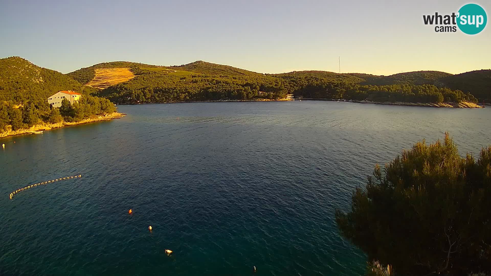 Web kamera Hvar Vira plaža | otok Hvar | Dalmacija