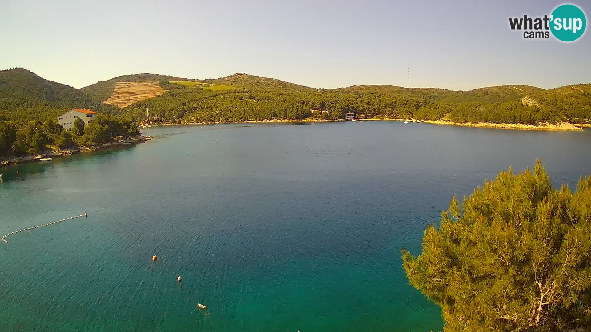Hvar webcam Vira Strand | Hvar Insel | Dalmatien