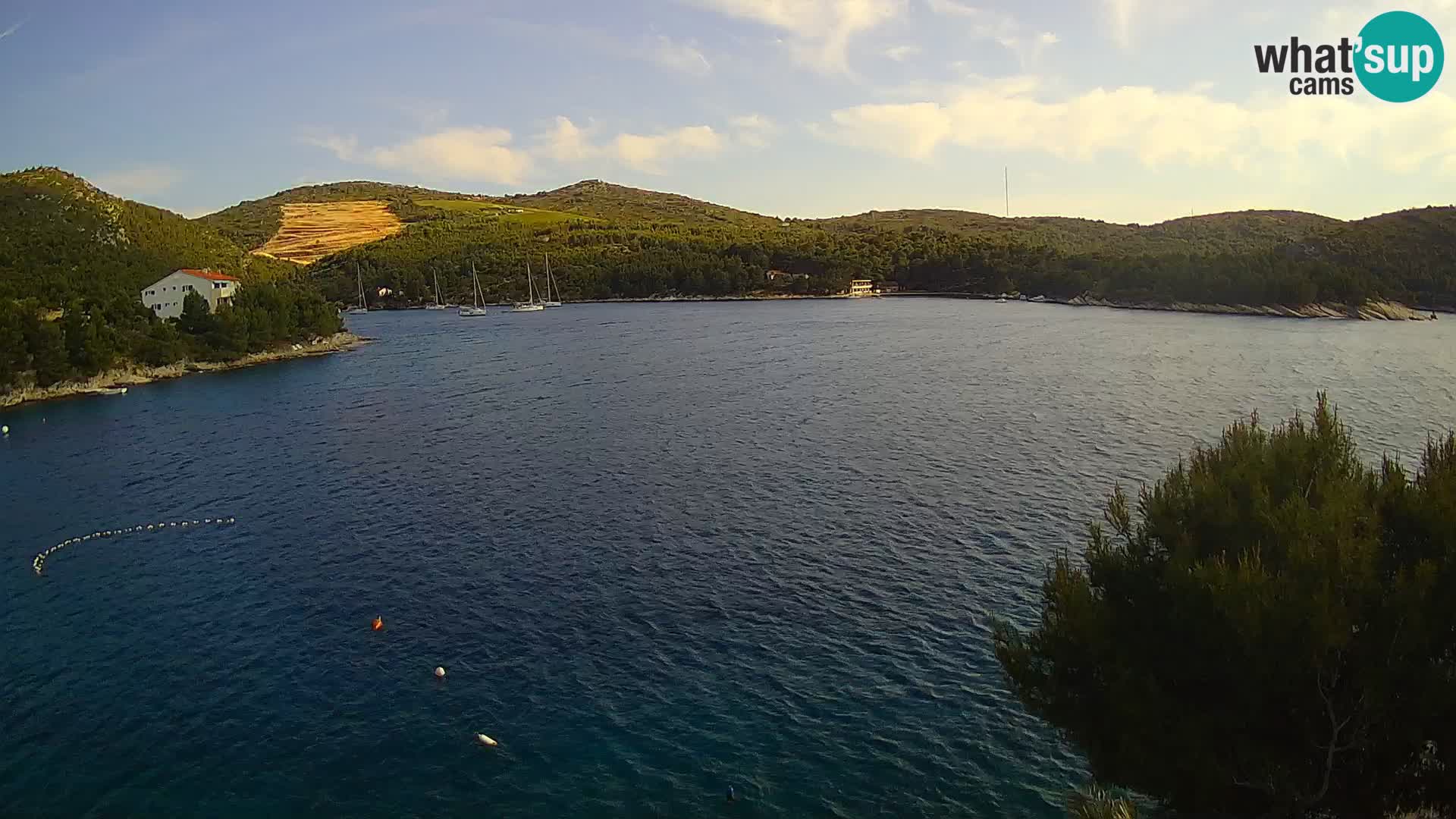 Hvar webcam Vira Strand | Hvar Insel | Dalmatien