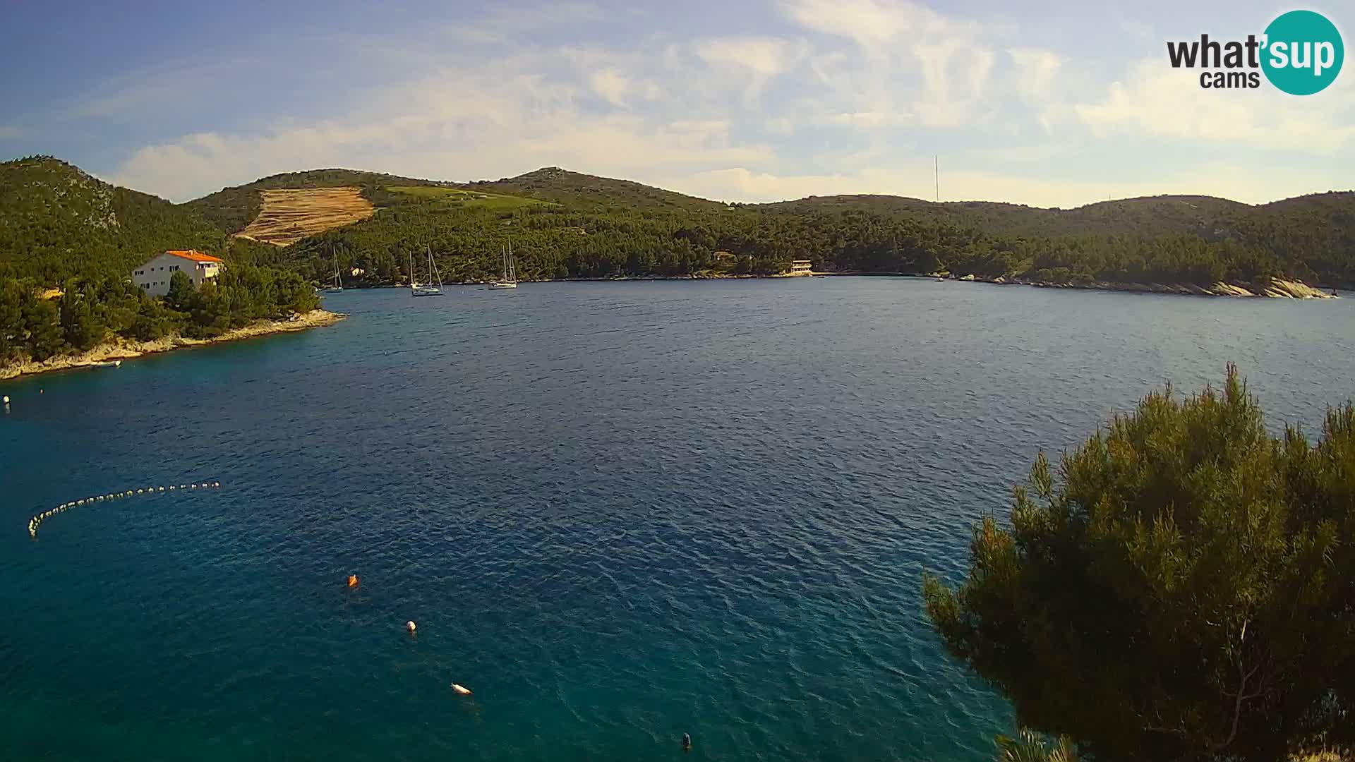Live cam Hvar Vira plage | Île de Hvar | Dalmatie