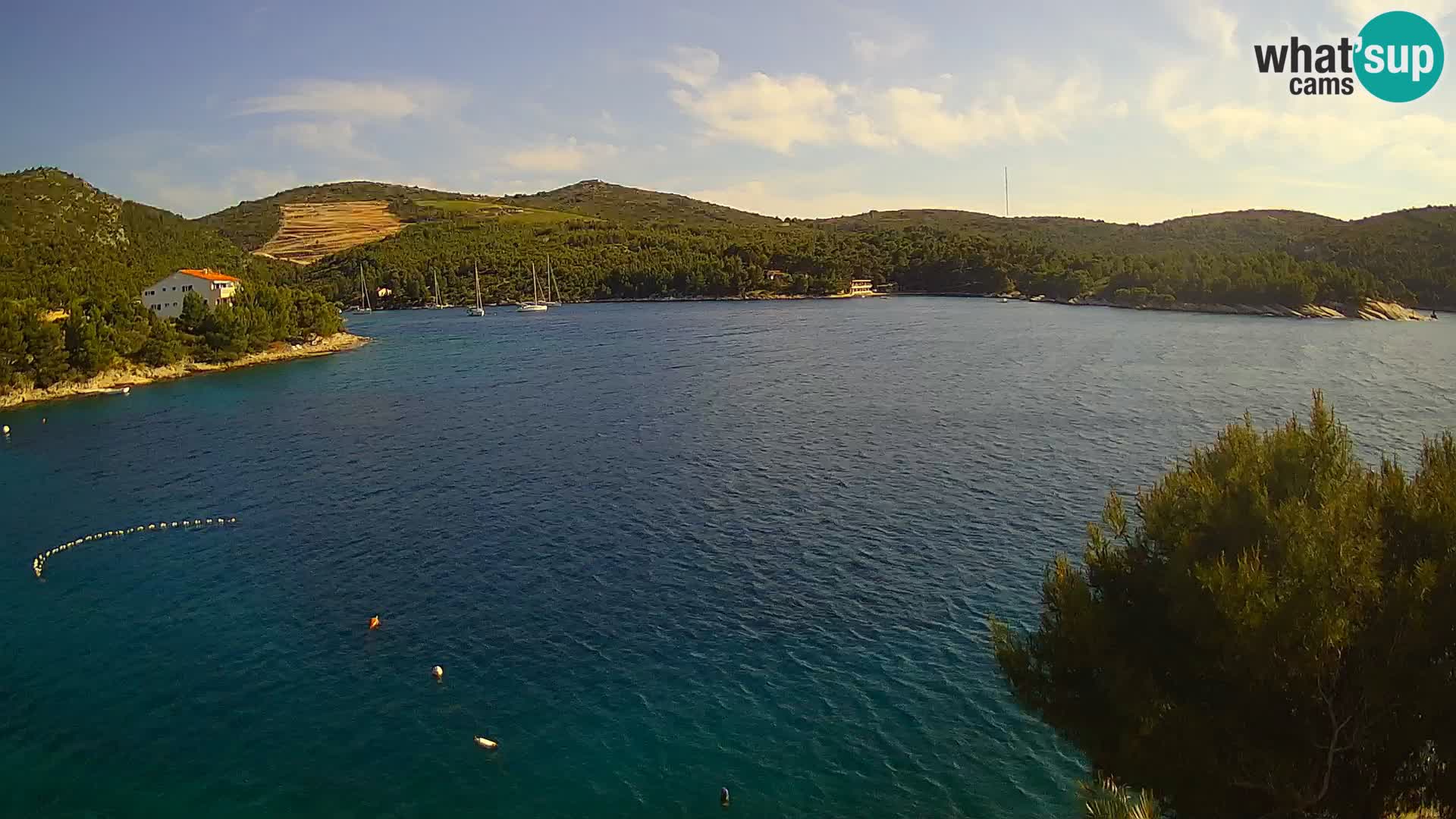 Camera Hvar Vira playa | Isla de Hvar | Dalmacia