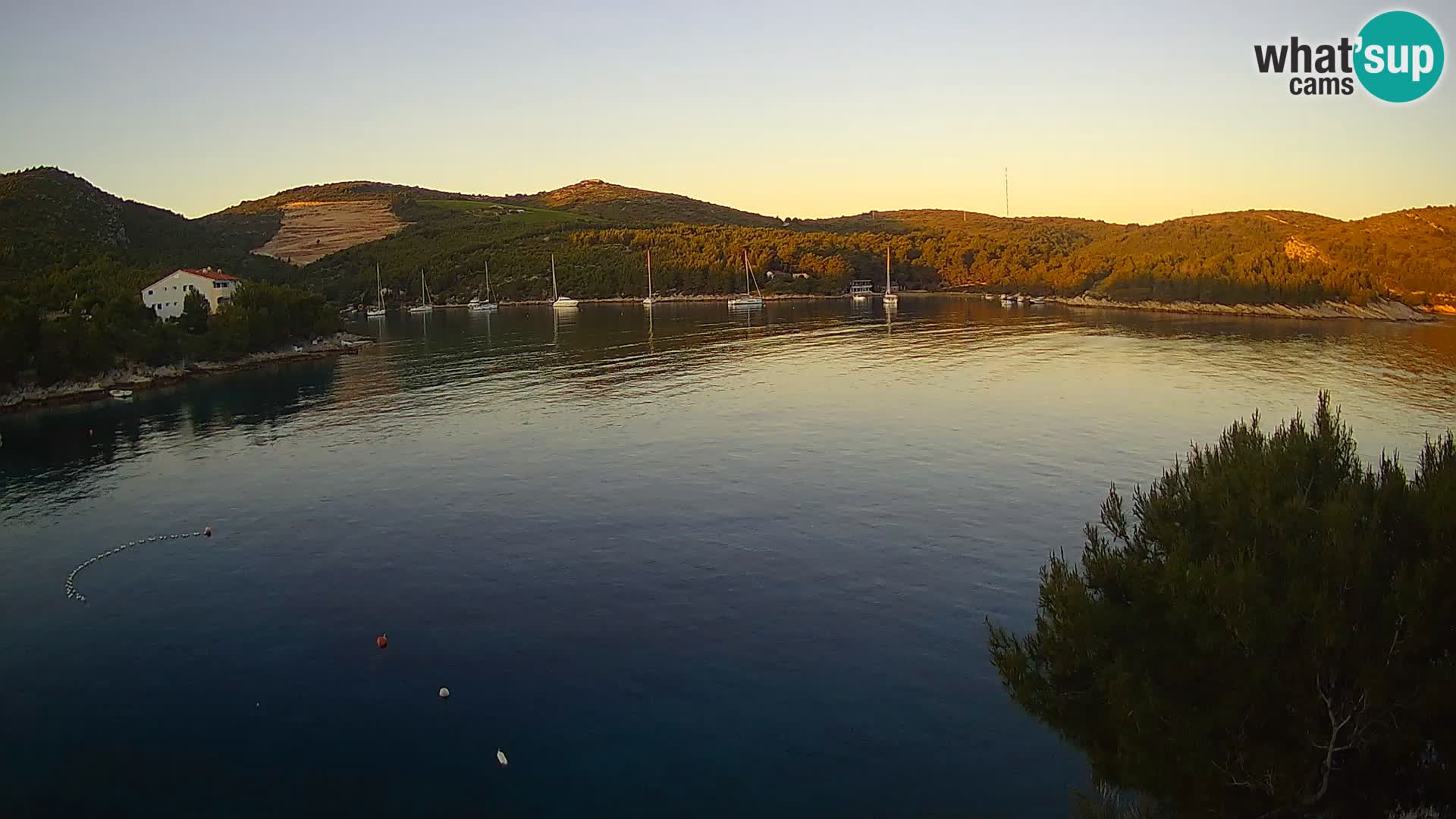 Hvar webcam Vira Strand | Hvar Insel | Dalmatien