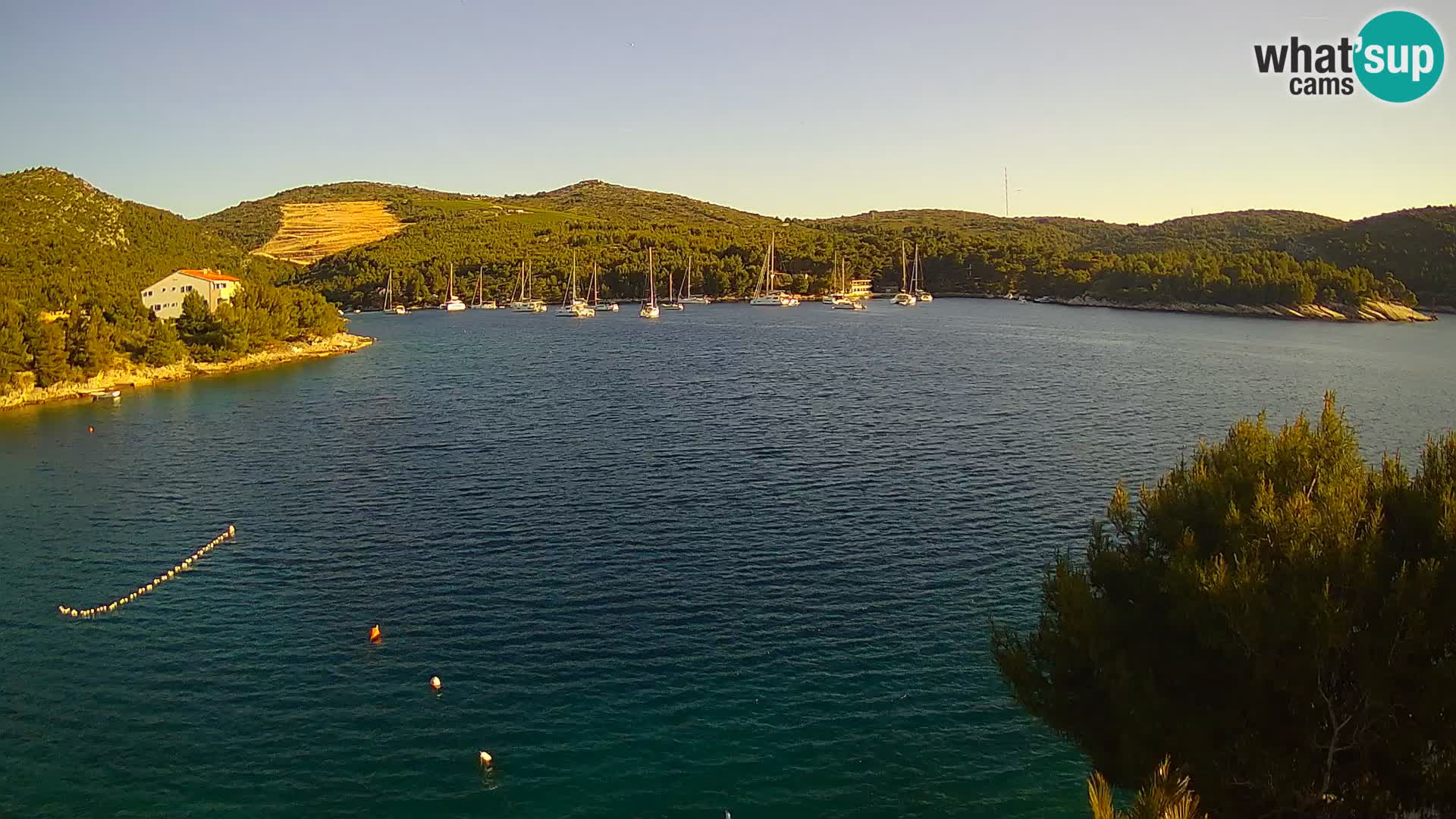 Live cam Hvar Vira plage | Île de Hvar | Dalmatie