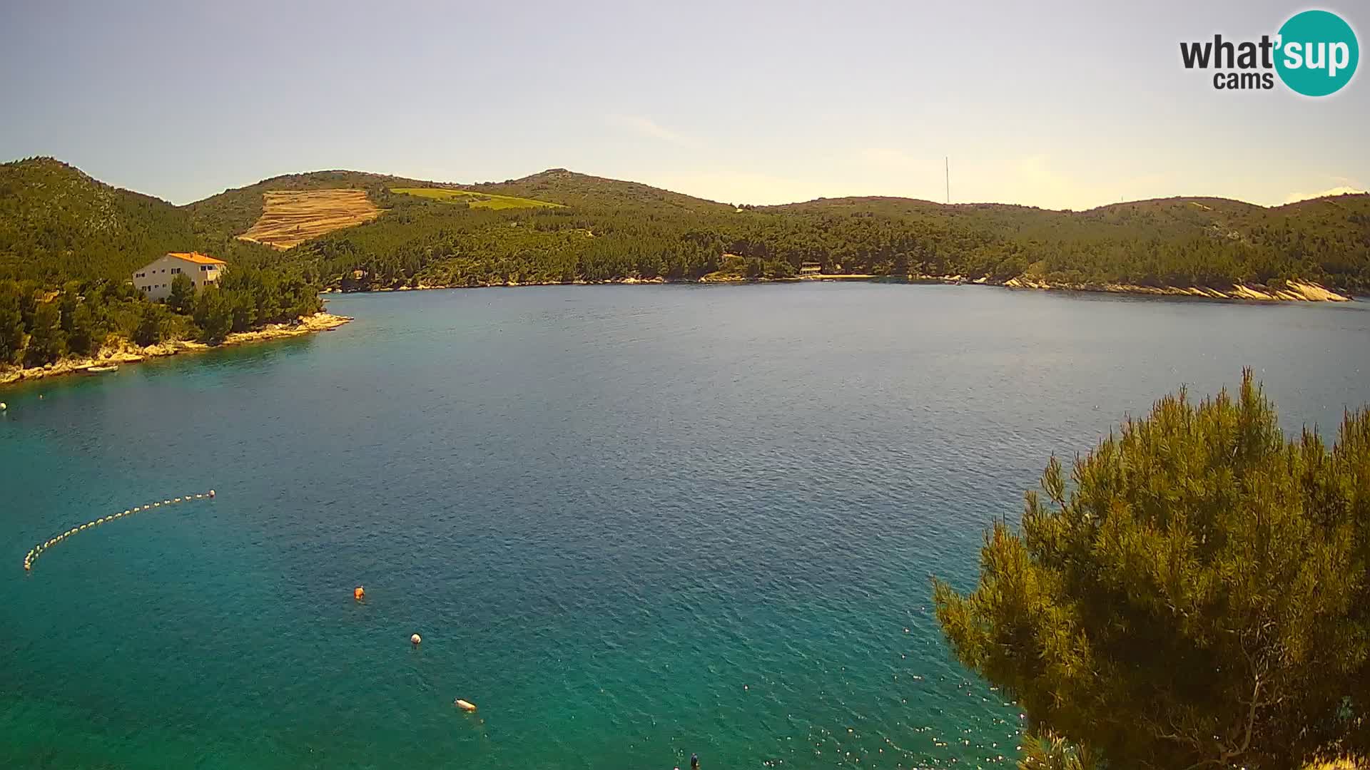 Camera Hvar Vira playa | Isla de Hvar | Dalmacia