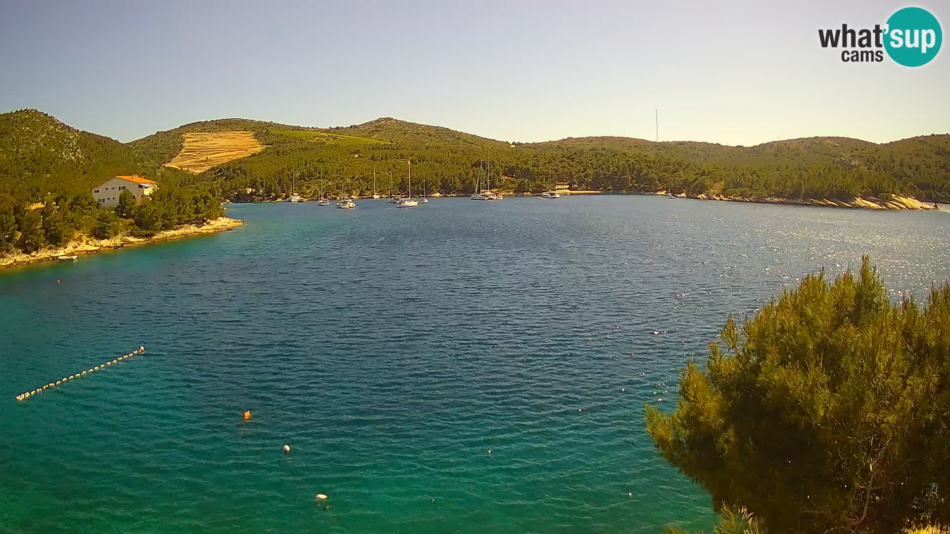 Camera Hvar Vira playa | Isla de Hvar | Dalmacia