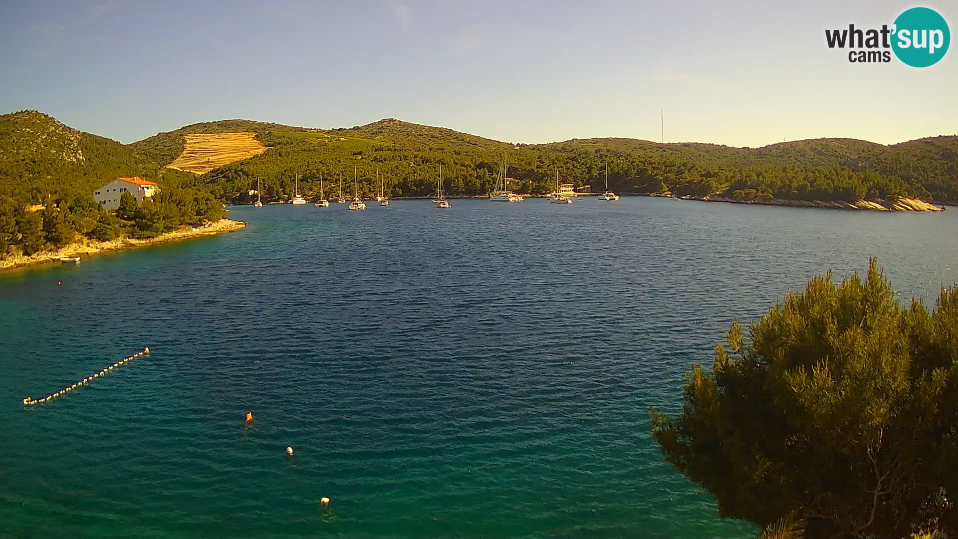 Camera Hvar Vira playa | Isla de Hvar | Dalmacia