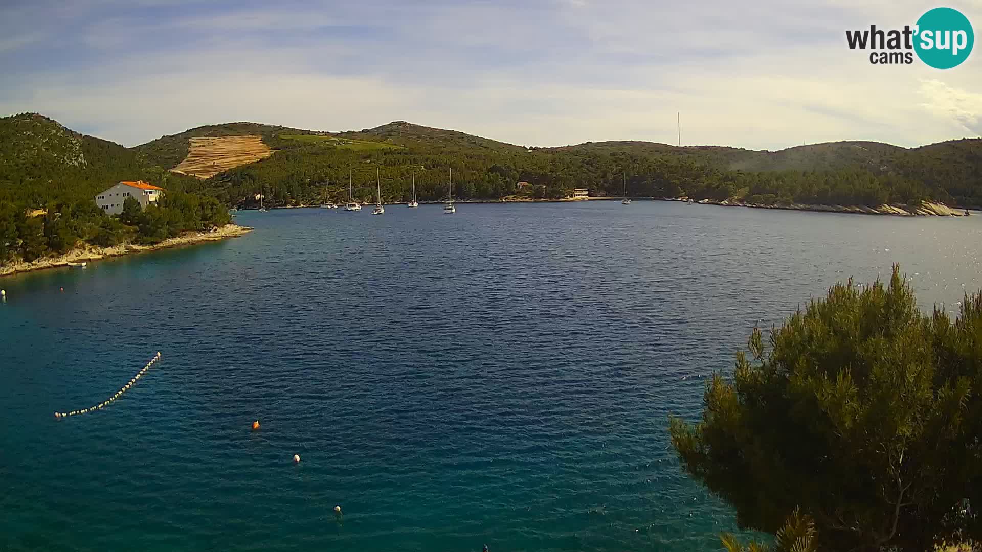 Hvar webcam Vira Strand | Hvar Insel | Dalmatien