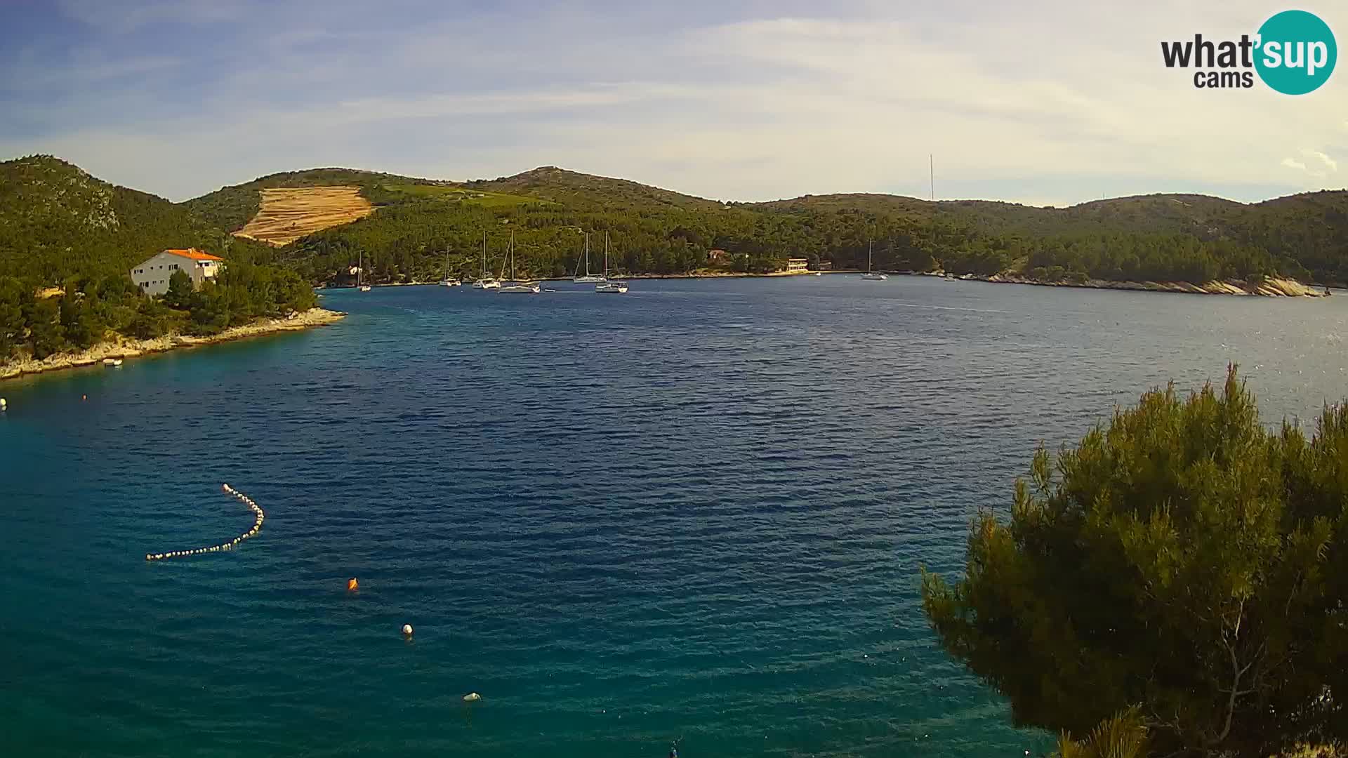 Hvar webcam Vira Strand | Hvar Insel | Dalmatien