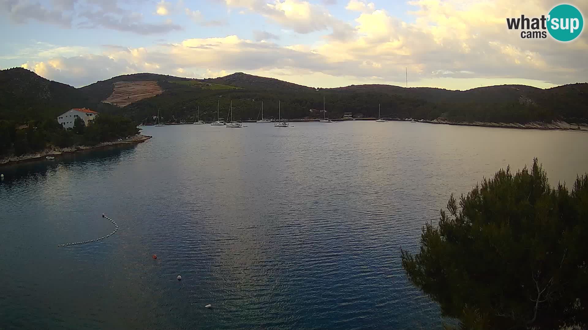 Camera Hvar Vira playa | Isla de Hvar | Dalmacia